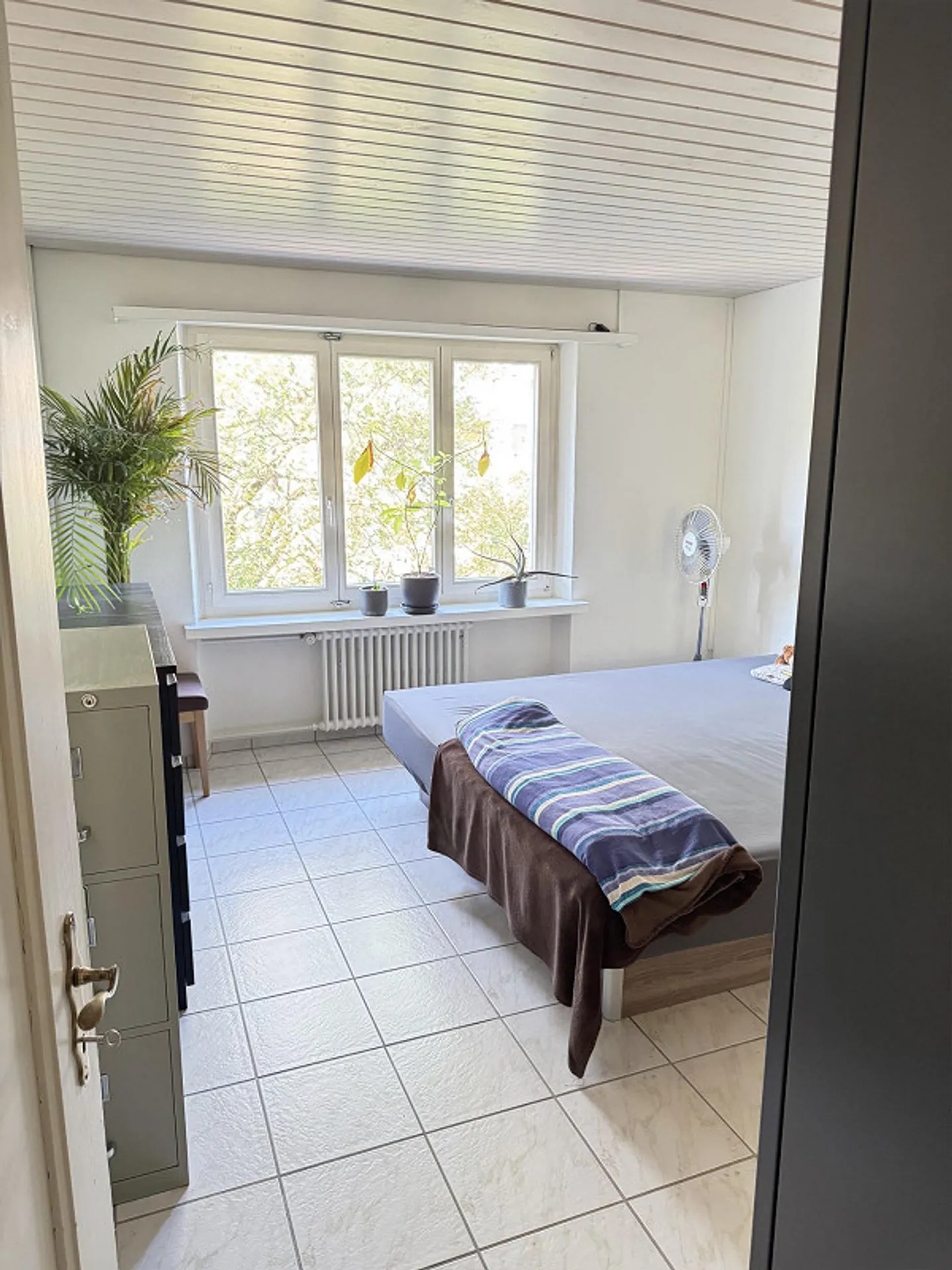 Appartamento di 3,5 locali sul Reno con balcone, arredato, subaffitto temporaneo - Foto 8 di 21