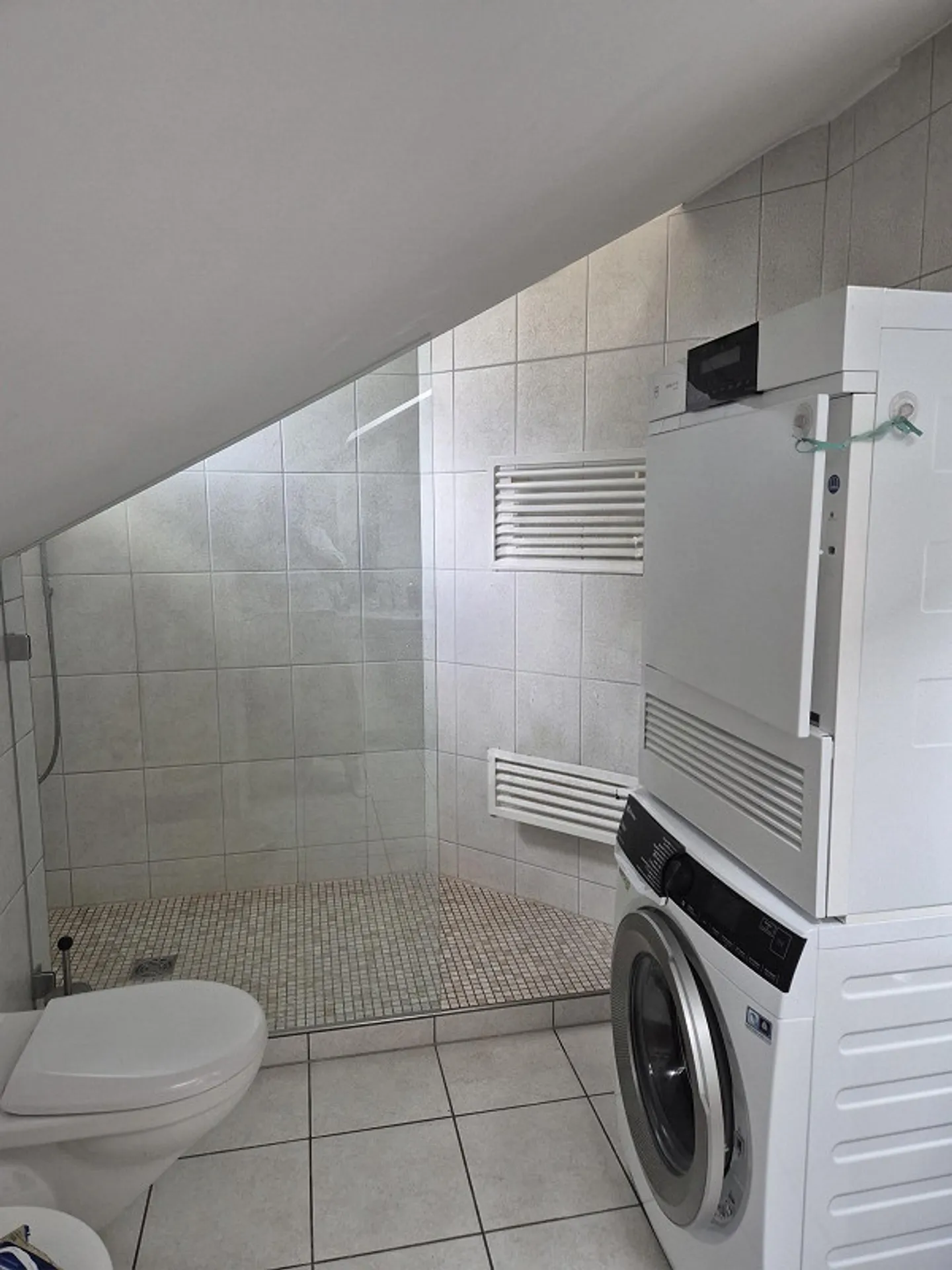 Appartamento Attico di 3,5 Stanze con Terrazza Privata sul Tetto - Foto 11 di 12