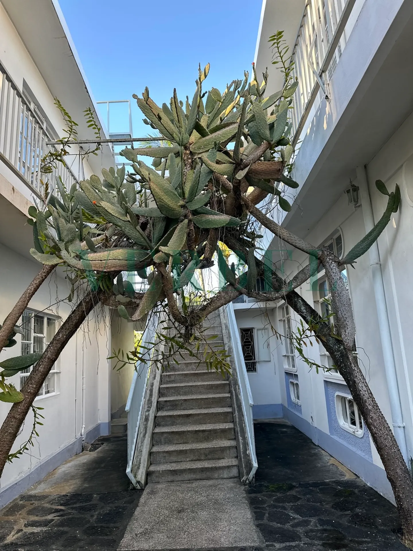 Proprietà eccezionale a Mauritius - Foto 3 di 12