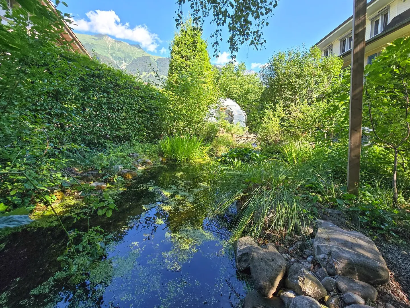 Charmantes Familienhaus mit Garten - Foto 52 von 65