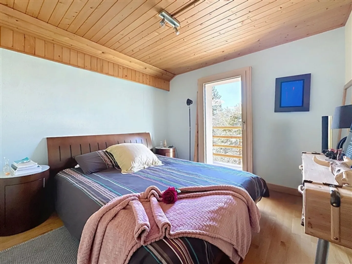 Panoramic view of Mont Blanc and Cime de l'Est - Photo 12 of 20