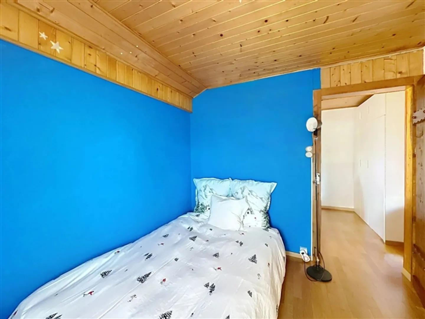 Panoramic view of Mont Blanc and Cime de l'Est - Photo 15 of 20