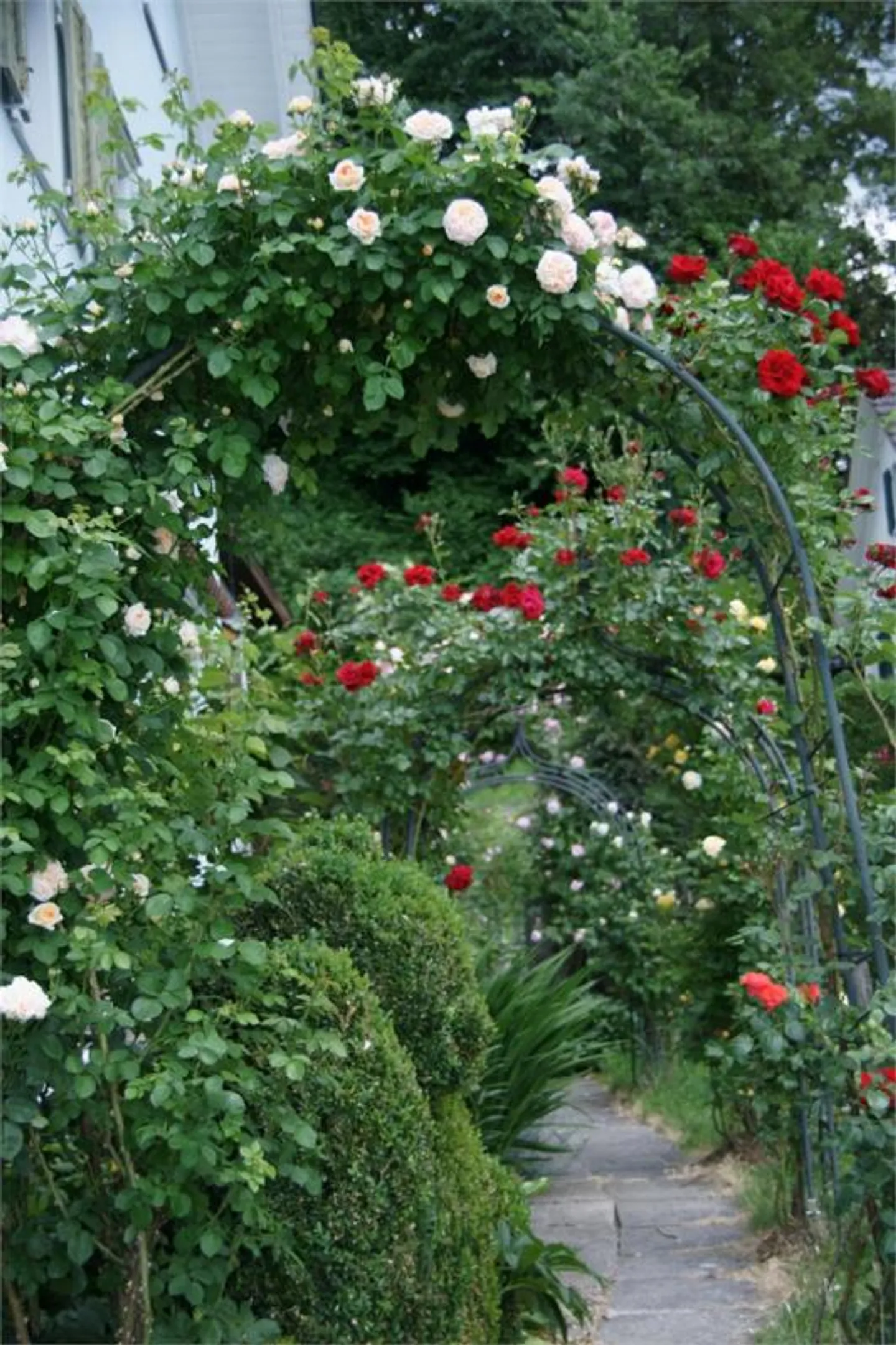 Charmante Maisonette-Wohnung - Foto 21 von 26