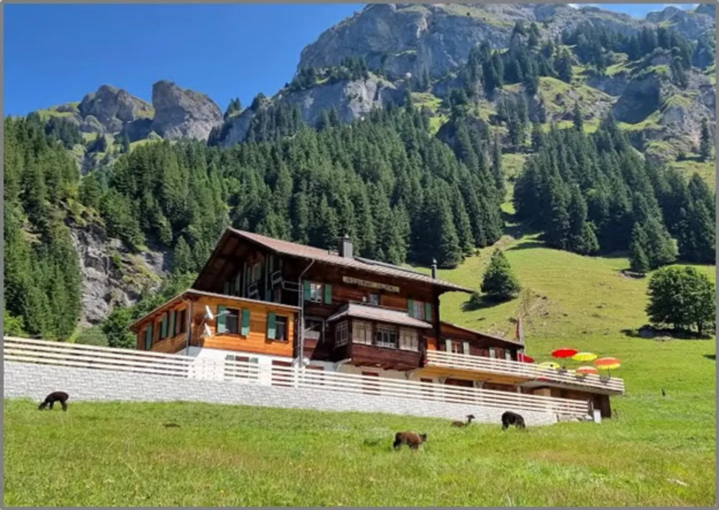 Mountain Inn Golderli - Photo 14 of 14