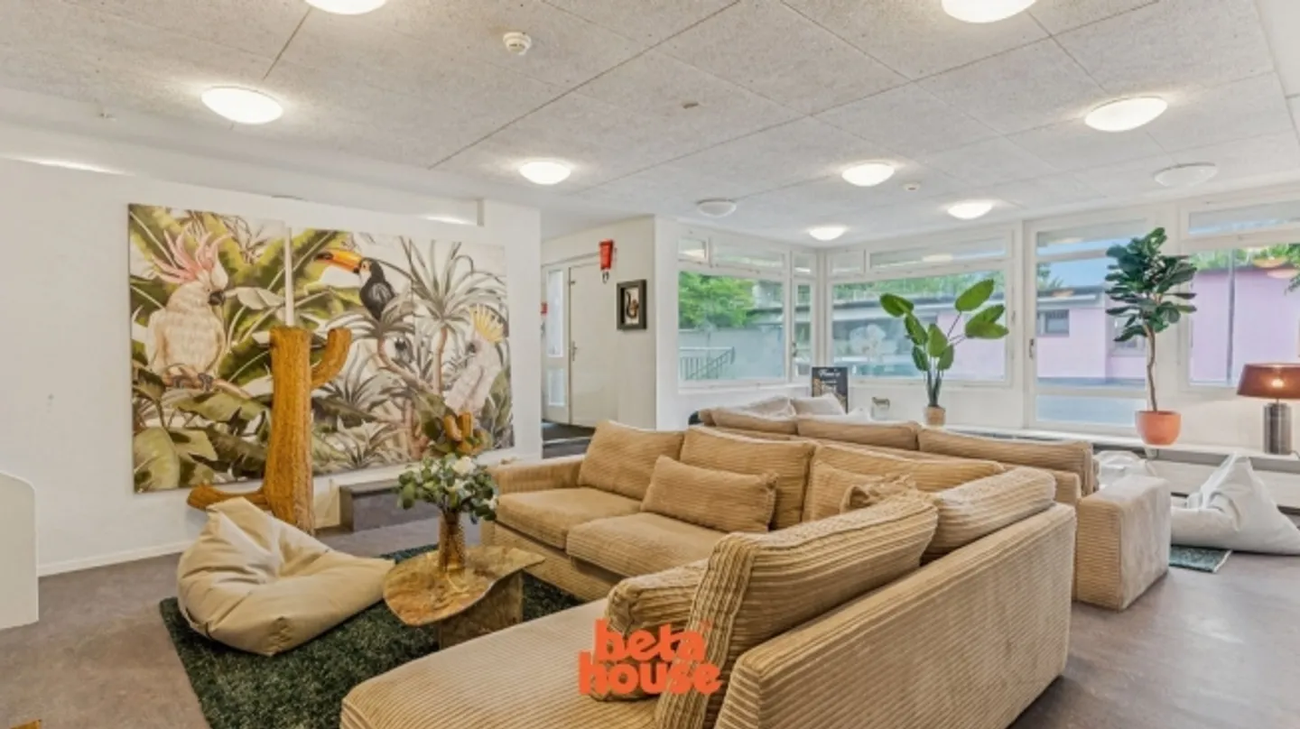 «Your Co-Living Home Neuchatel» - Photo 5 of 8