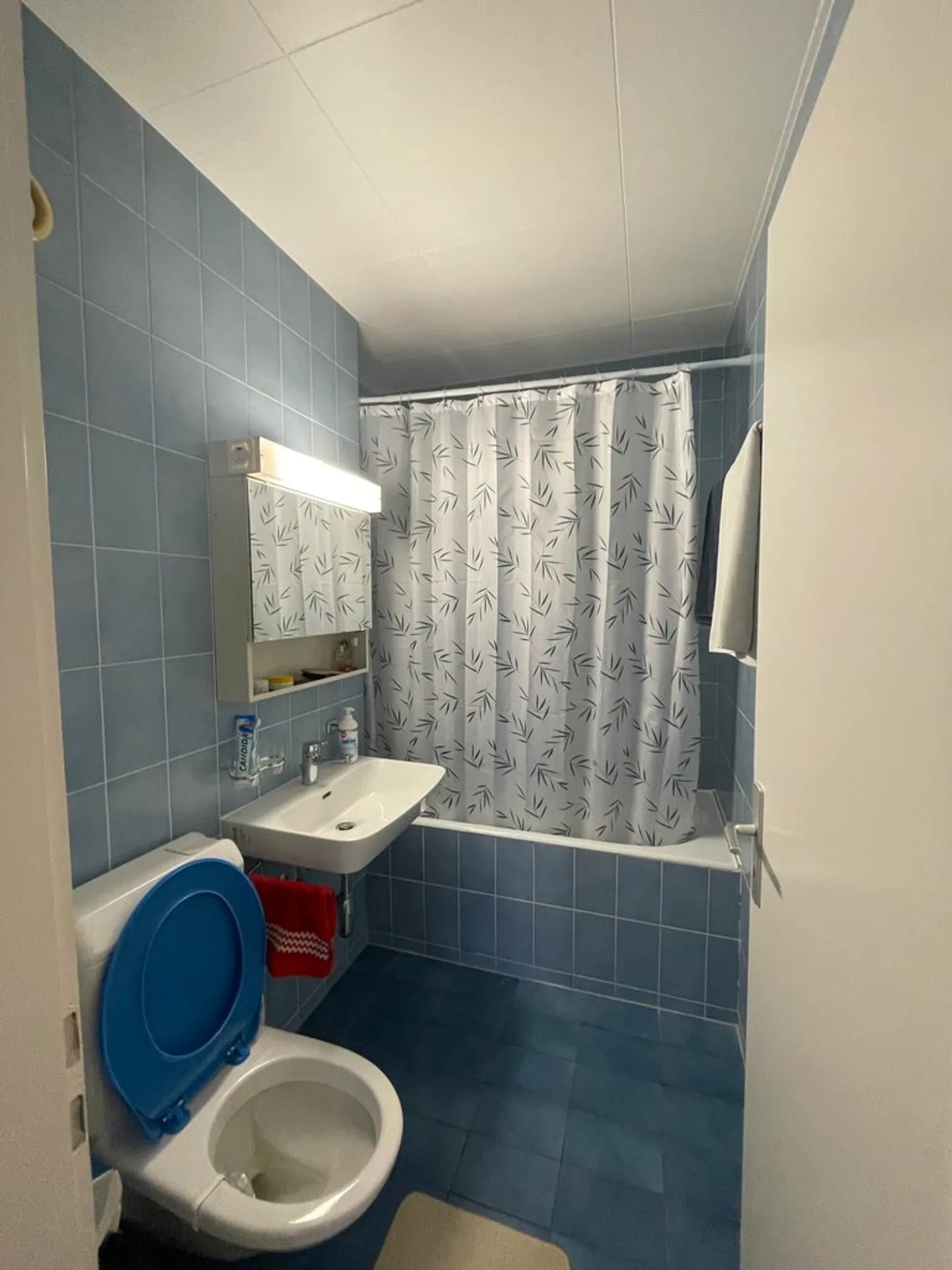 Appartamento Incantevole Vicino a Bel-Air - Foto 8 di 8