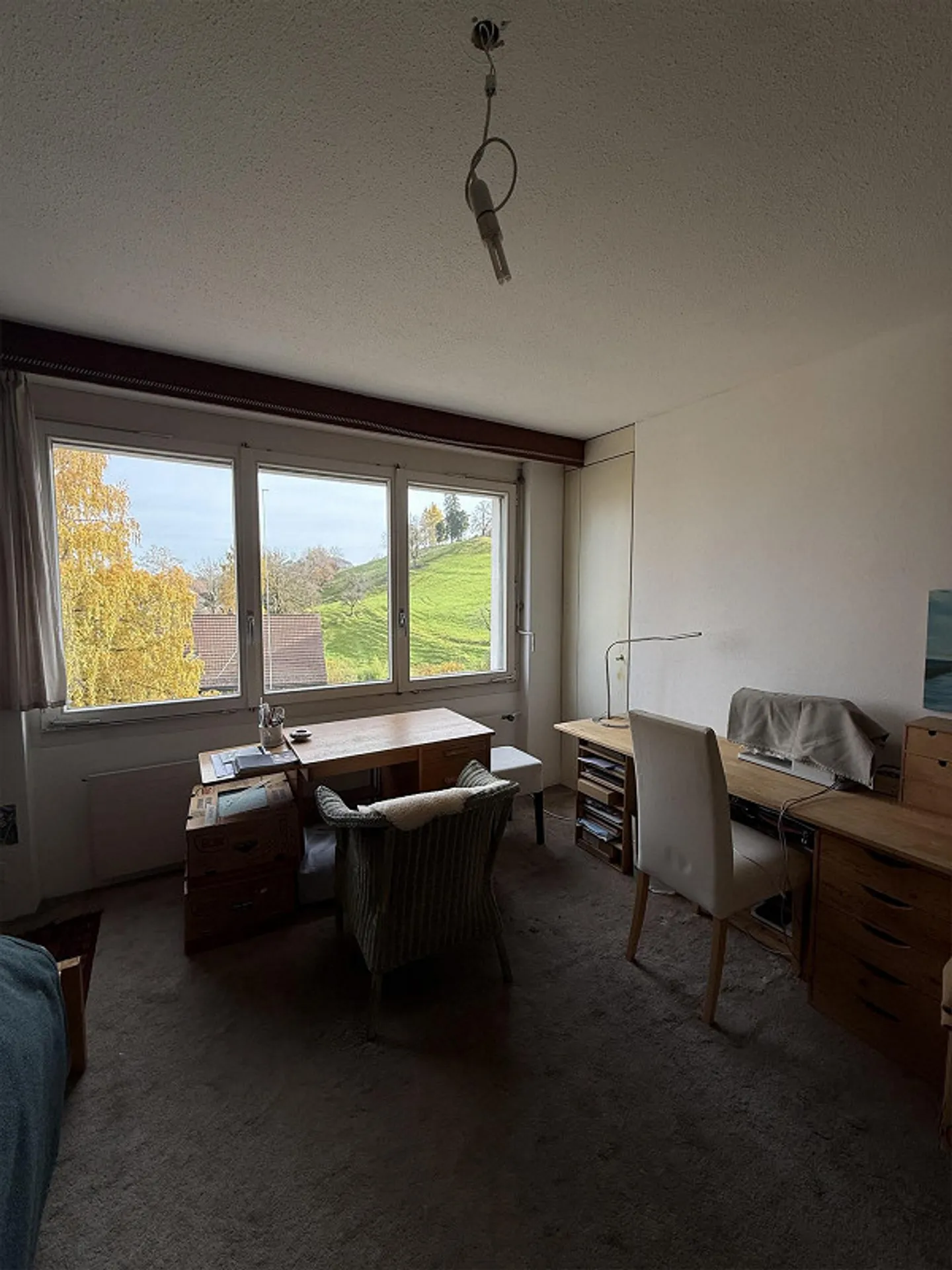 Charmant appartement 4 pièces avec cheminée à Saint-Gall - Photo 6 sur 17