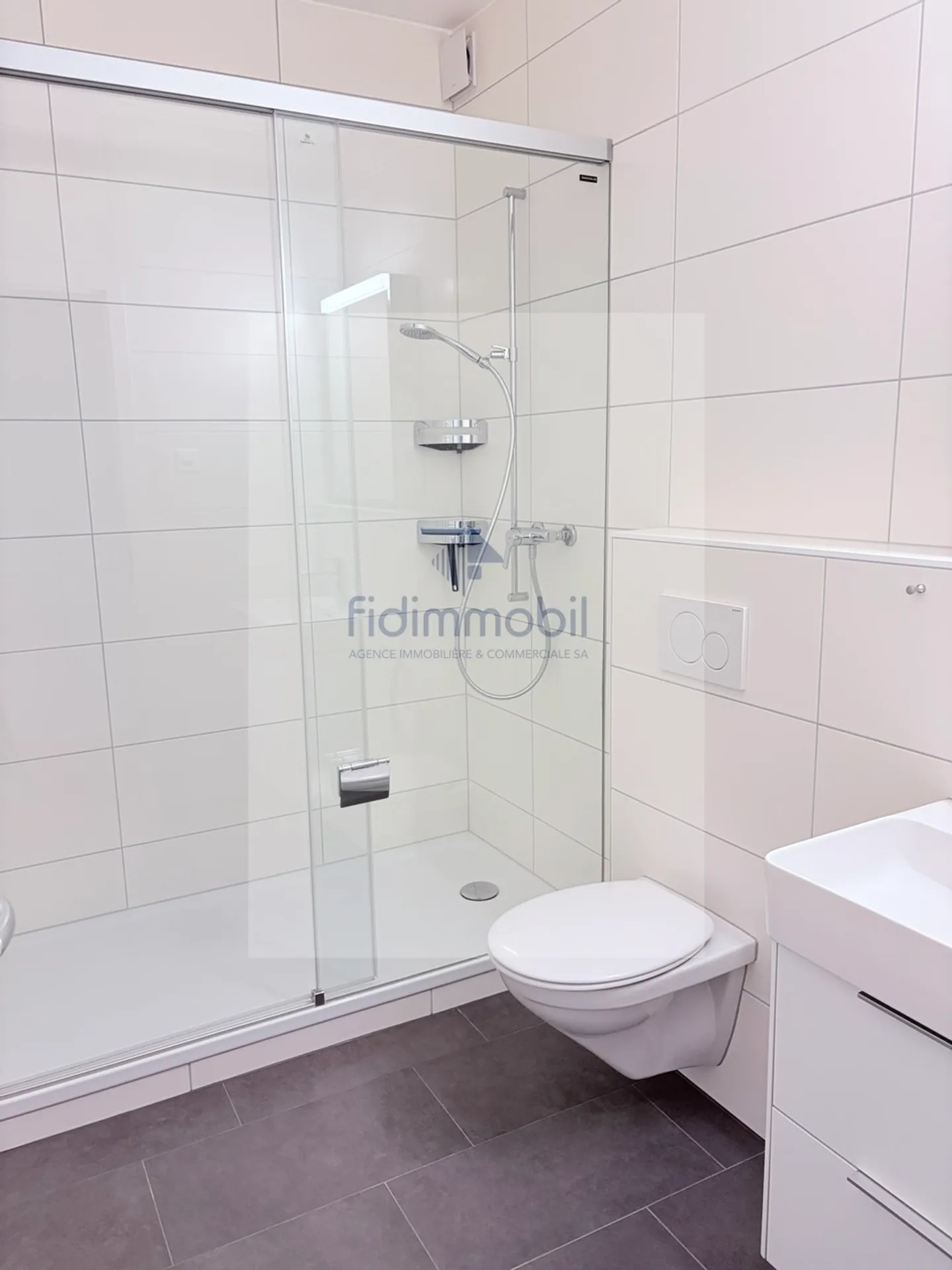 Magnificent 3-room apartment with stunning lake view - Photo 5 of 8