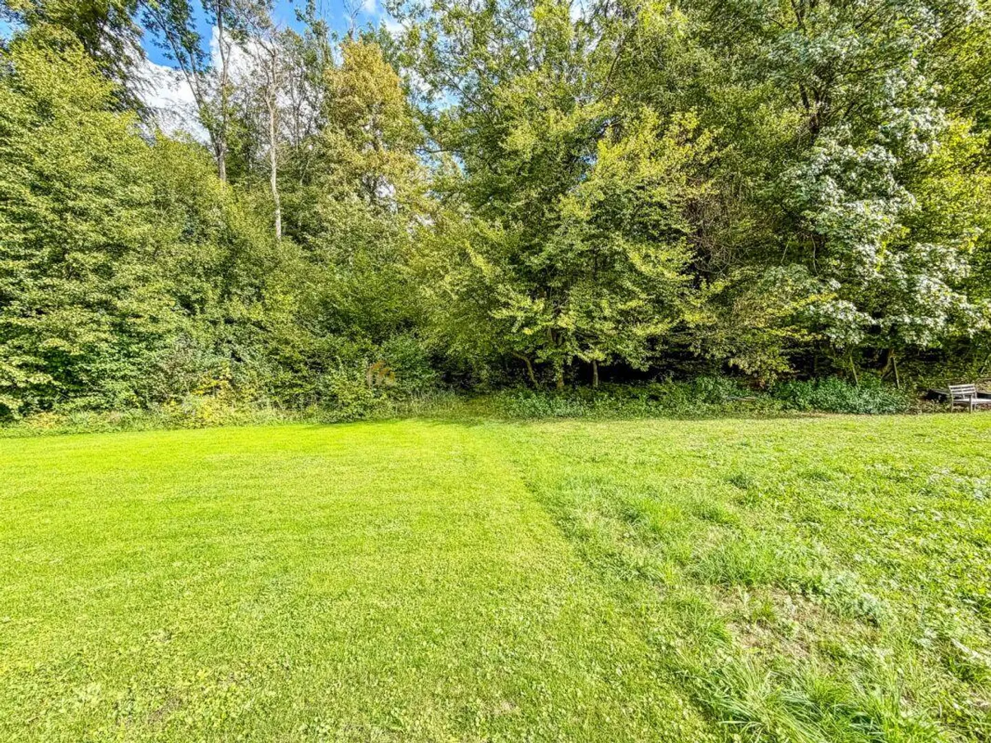 Dreamlike family domicile on the edge of the forest with a view into the greenery - Photo 15 of 20