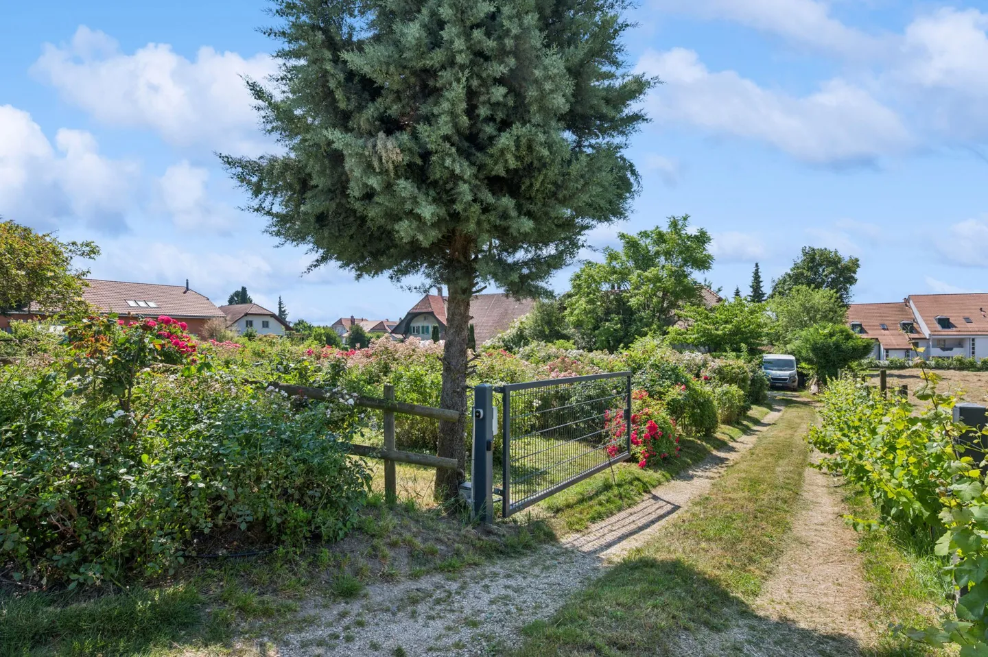 Sonniges Bauland mit vielseitigem Entwicklungspotenzial - Foto 5 von 13