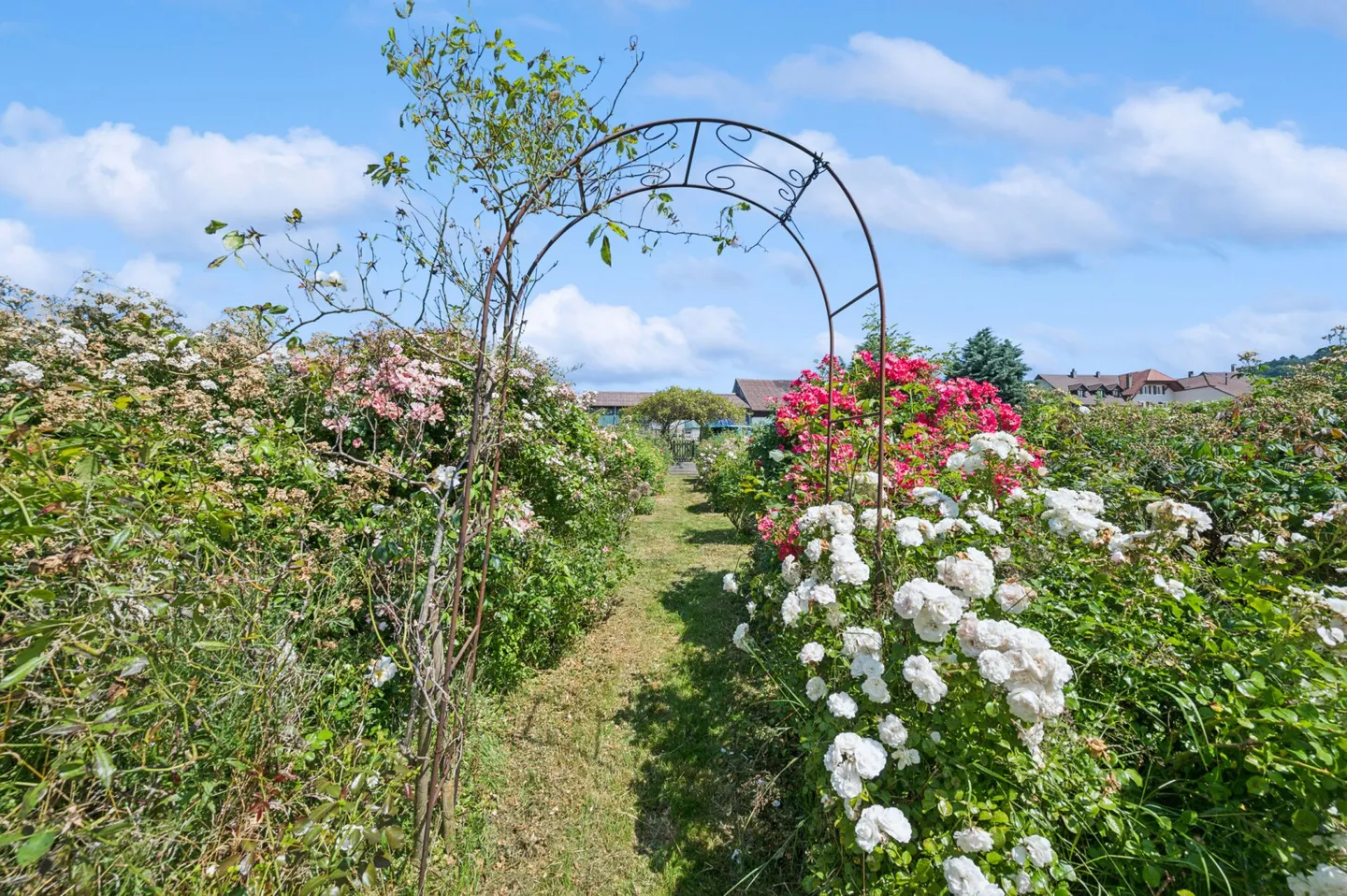 Sonniges Bauland mit vielseitigem Entwicklungspotenzial - Foto 6 von 13