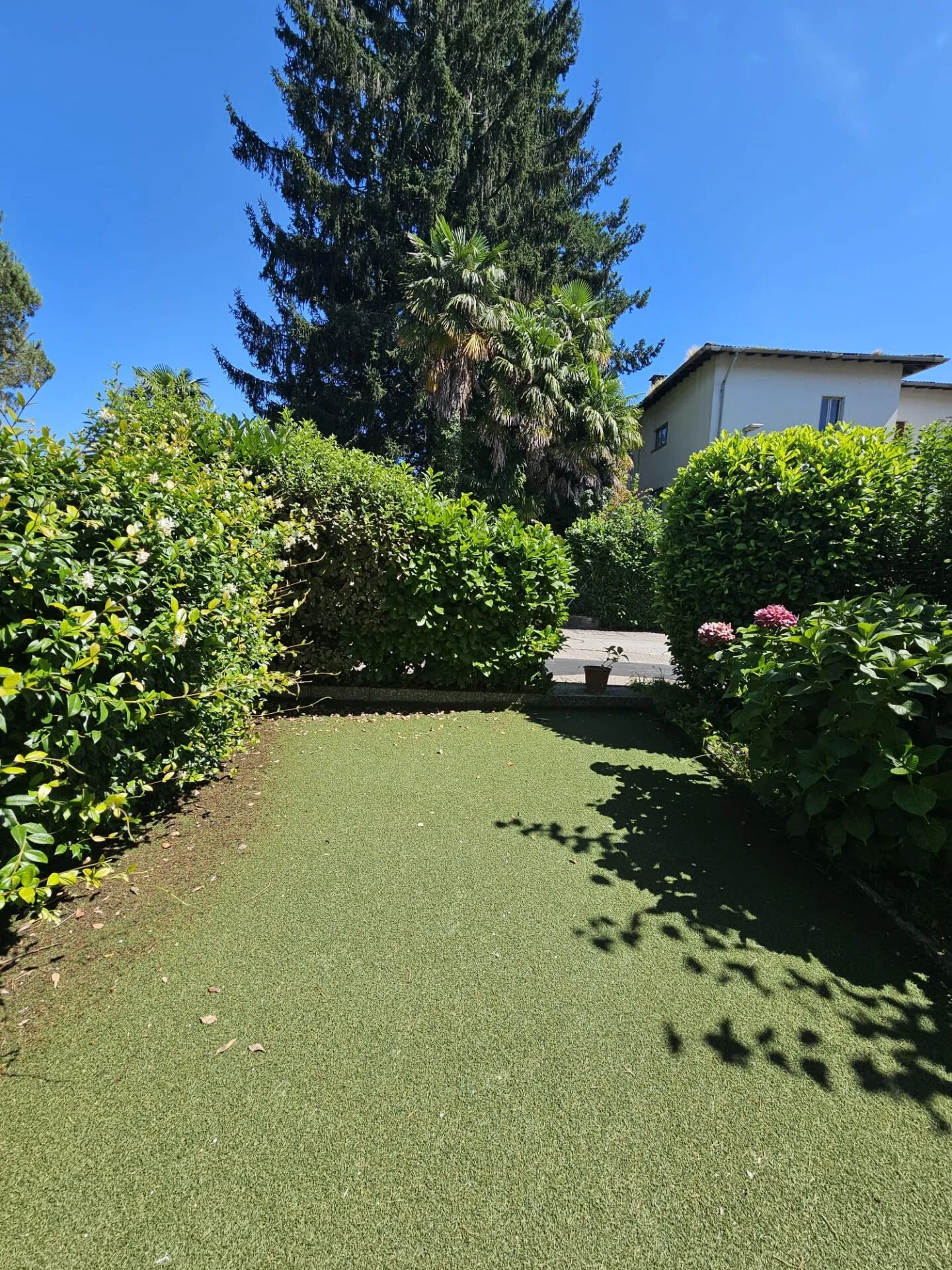 Appartamento Incantevole con Terrazza - Foto 7 di 9