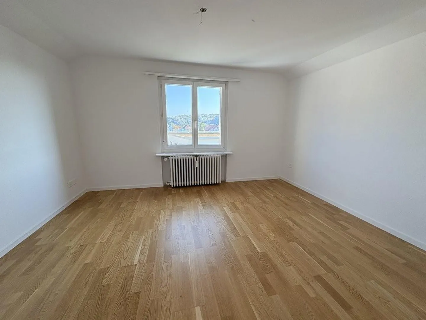 Apartment seeks single! - Photo 4 of 8