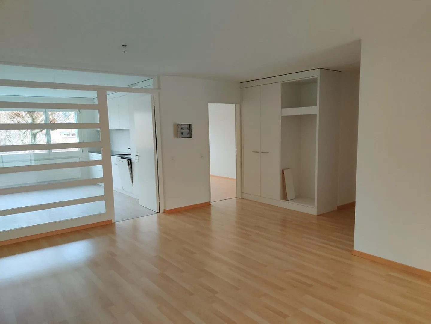 Large 4.5 Room Apartment - Photo 5 of 10
