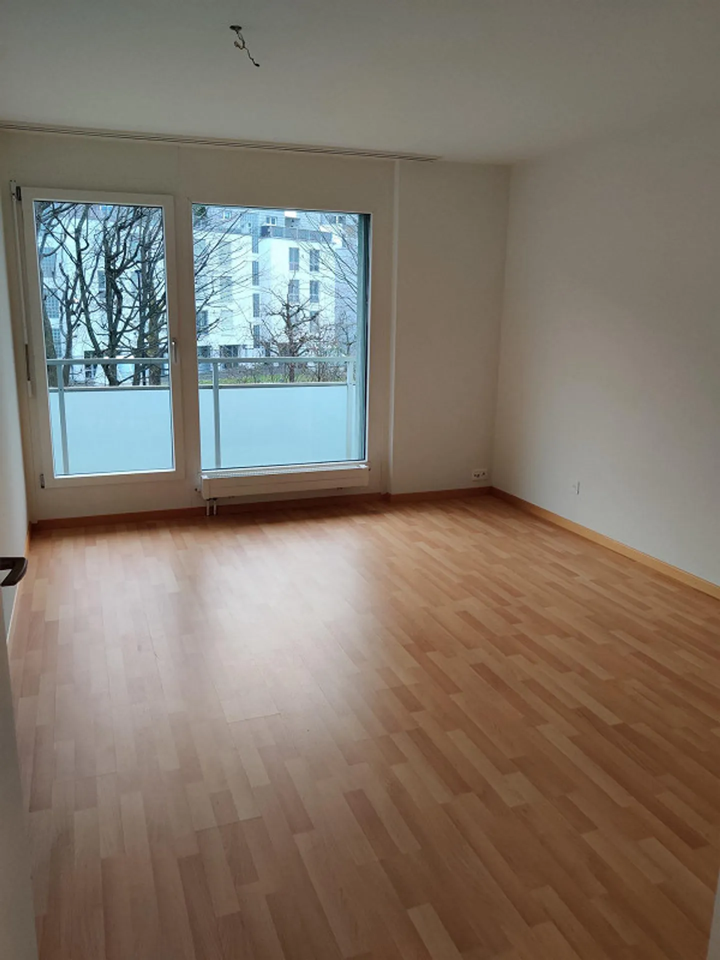 Large 4.5 Room Apartment - Photo 9 of 10