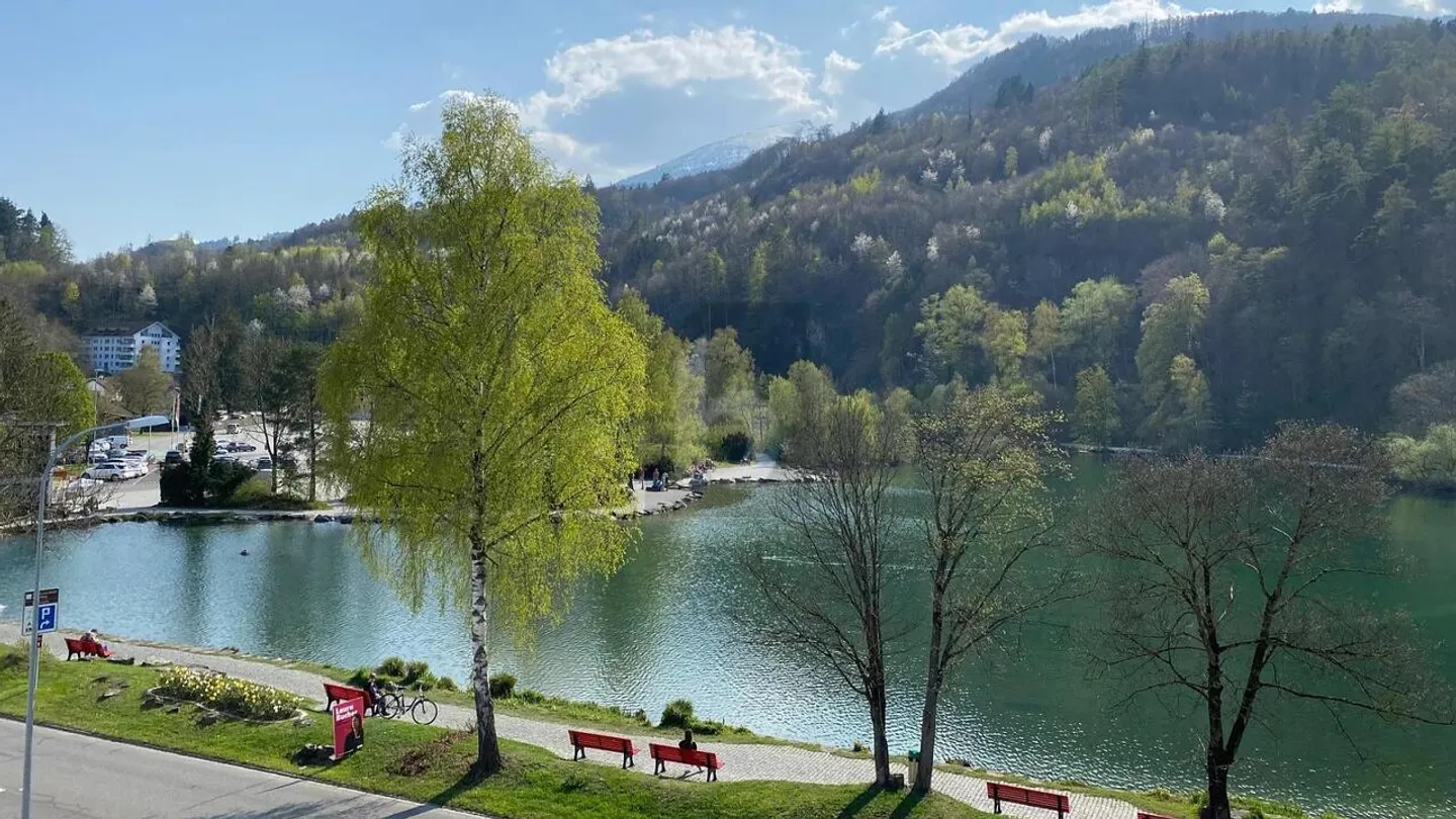 NOUVEAU CONSTRUCTION AU LAC DE WERDENBERG (C002) - Photo 5 sur 6