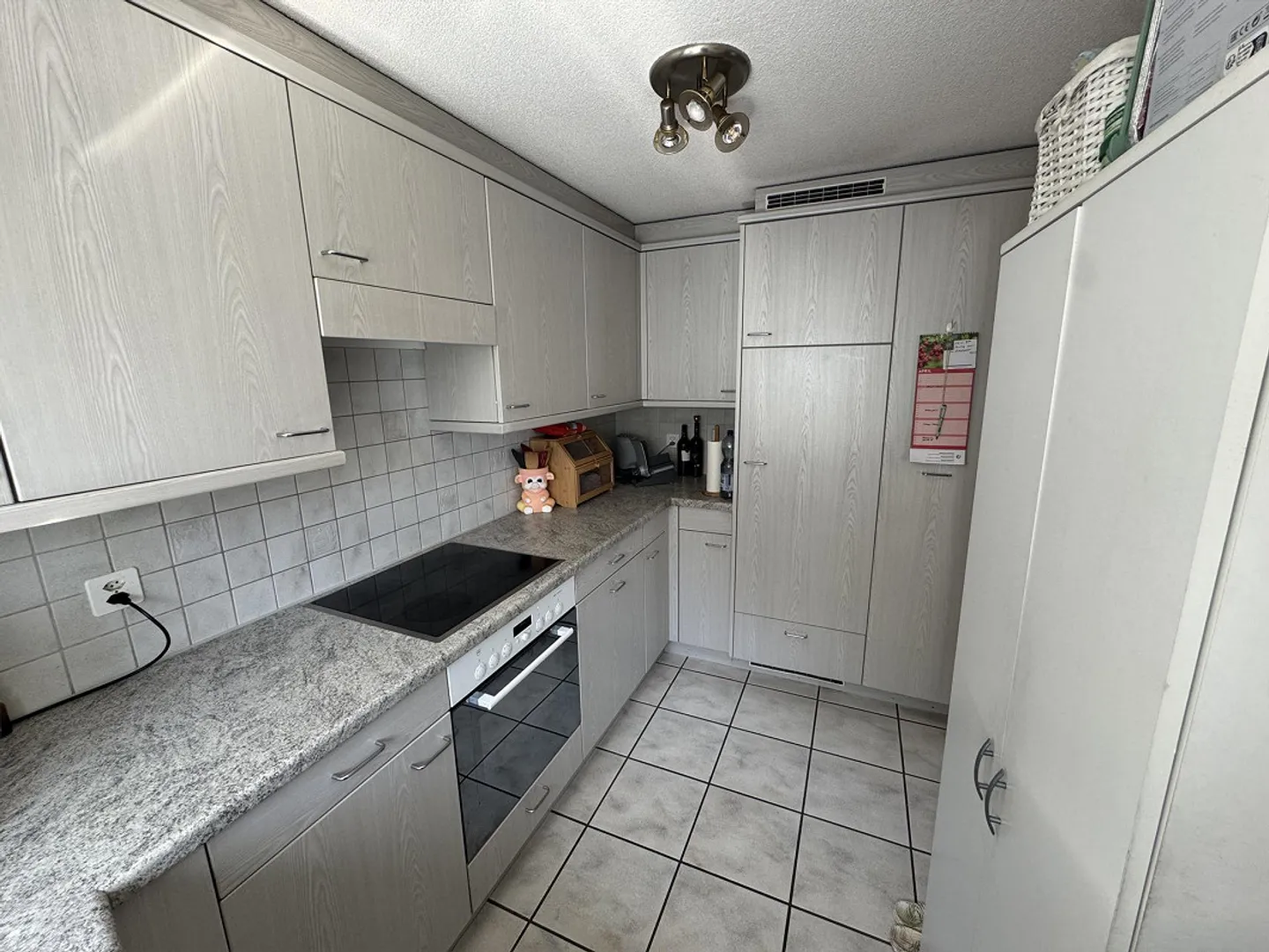 Appartamento 4.5 stanze - Foto 3 di 14