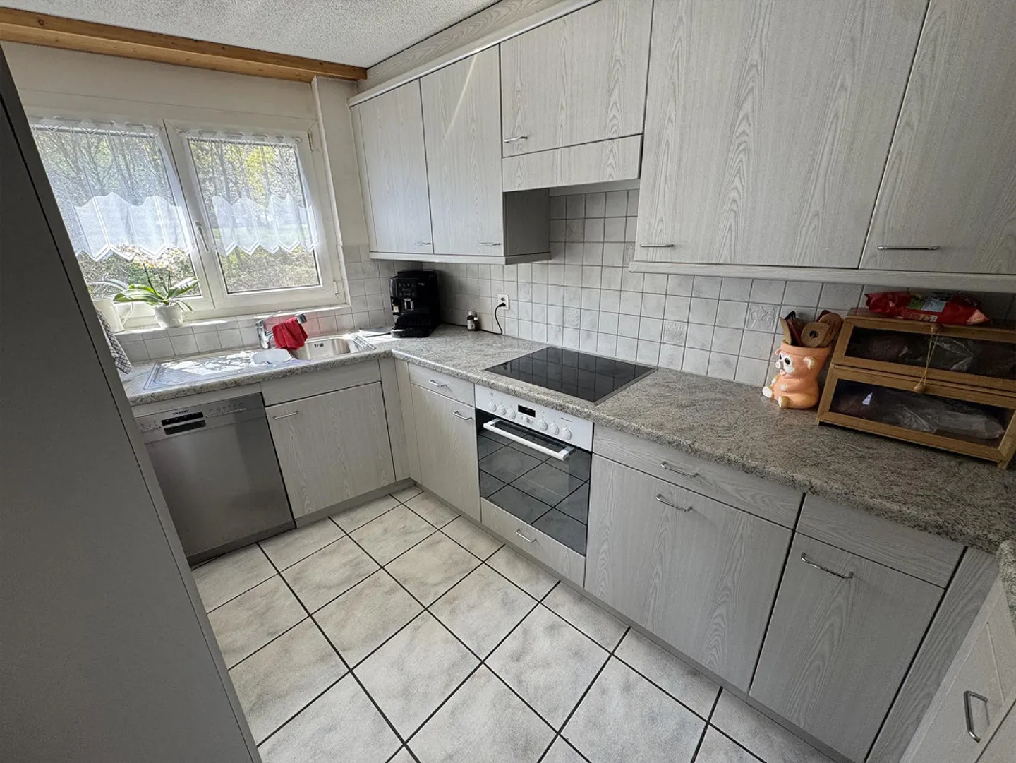 Appartamento 4.5 stanze - Foto 4 di 14