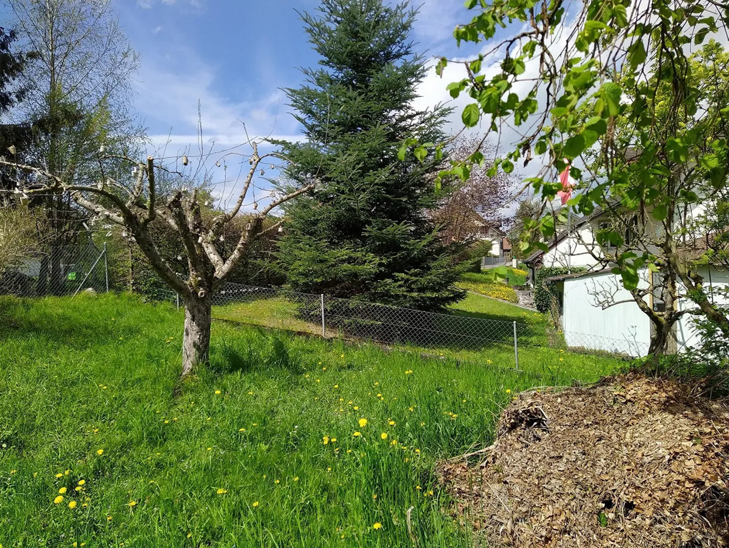 Casa unifamiliare di 5,5 stanze - Foto 6 di 8
