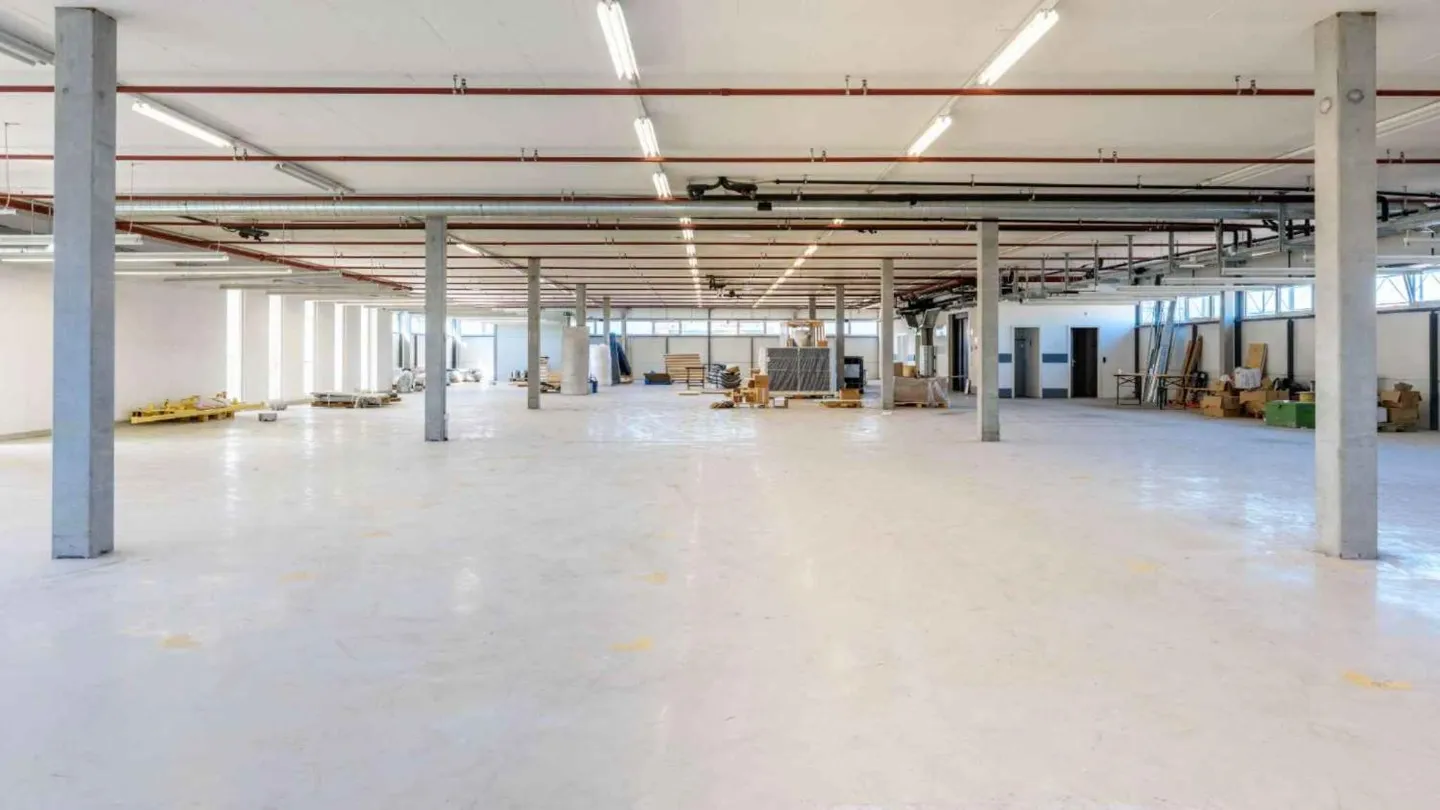 Espace industriel à Plan-les-Ouates - Photo 8 sur 12