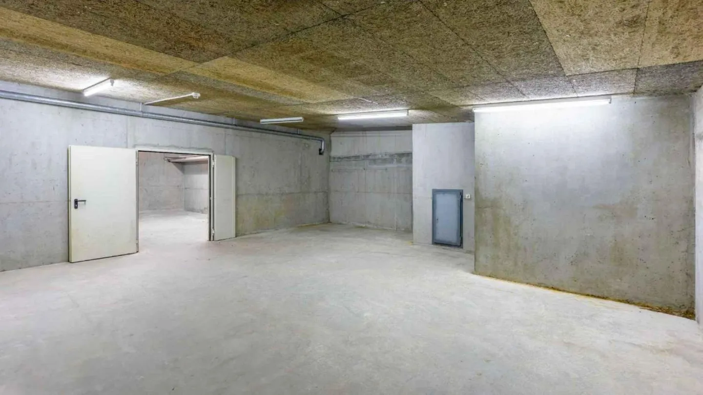 Espace industriel à Plan-les-Ouates - Photo 9 sur 12