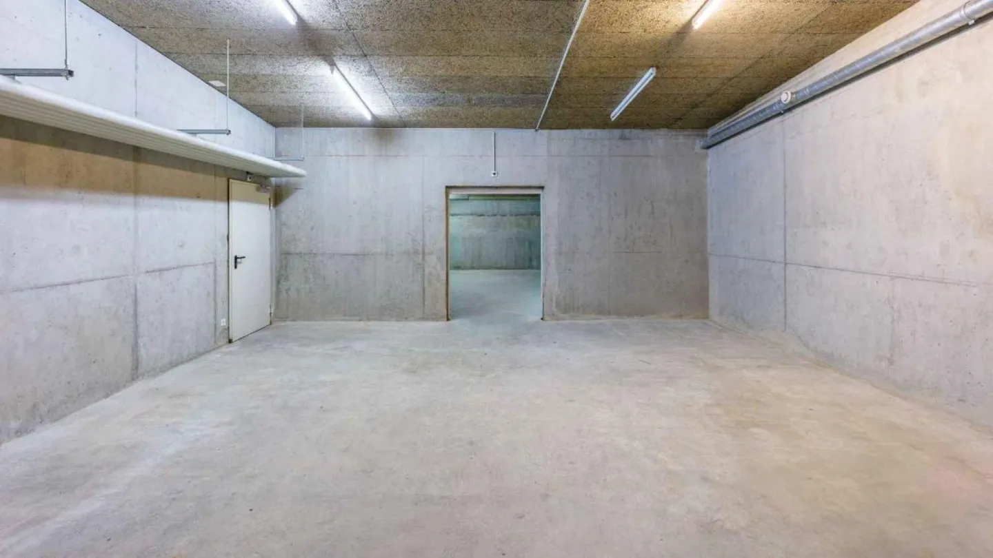 Espace industriel à Plan-les-Ouates - Photo 10 sur 12