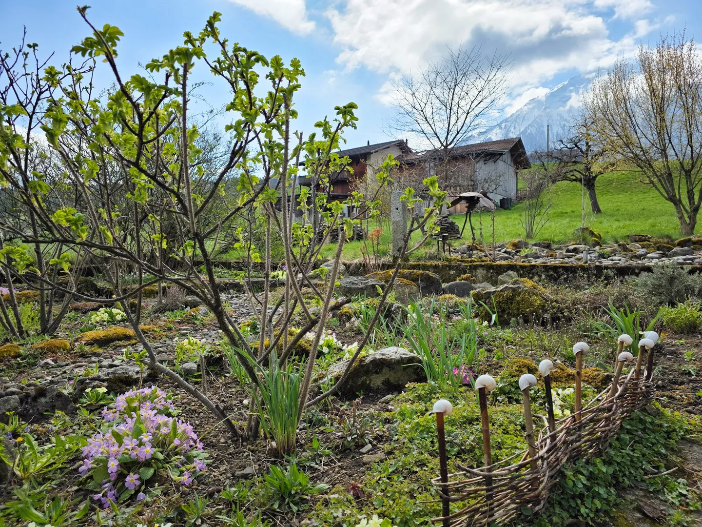 Maison bifamiliale avec grand espace extérieur - Photo 48 sur 53