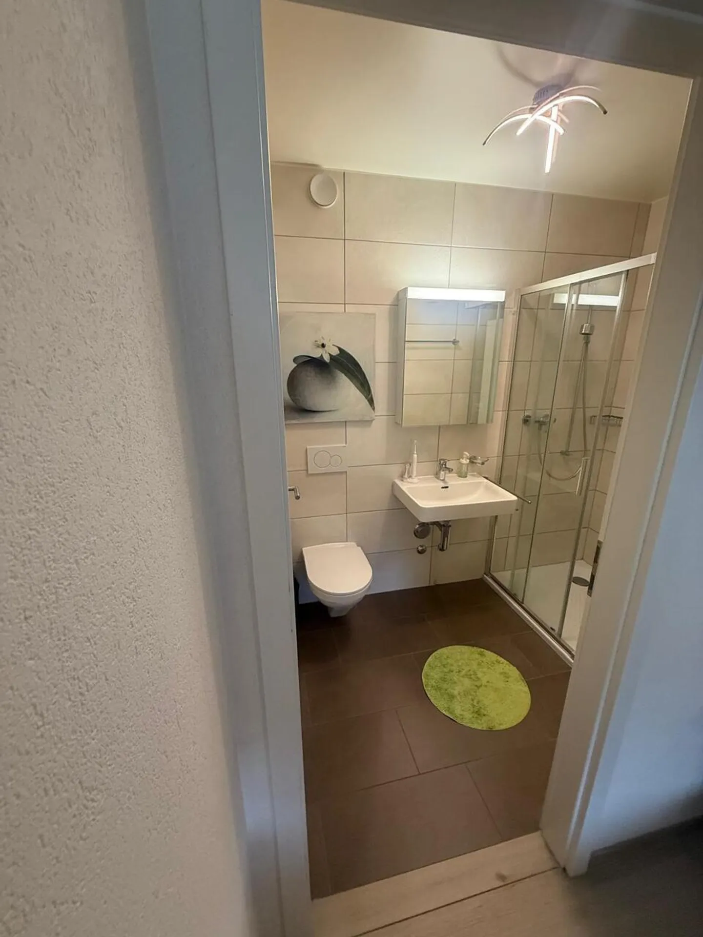 Modern Apartment in Sion - Photo 4 of 7