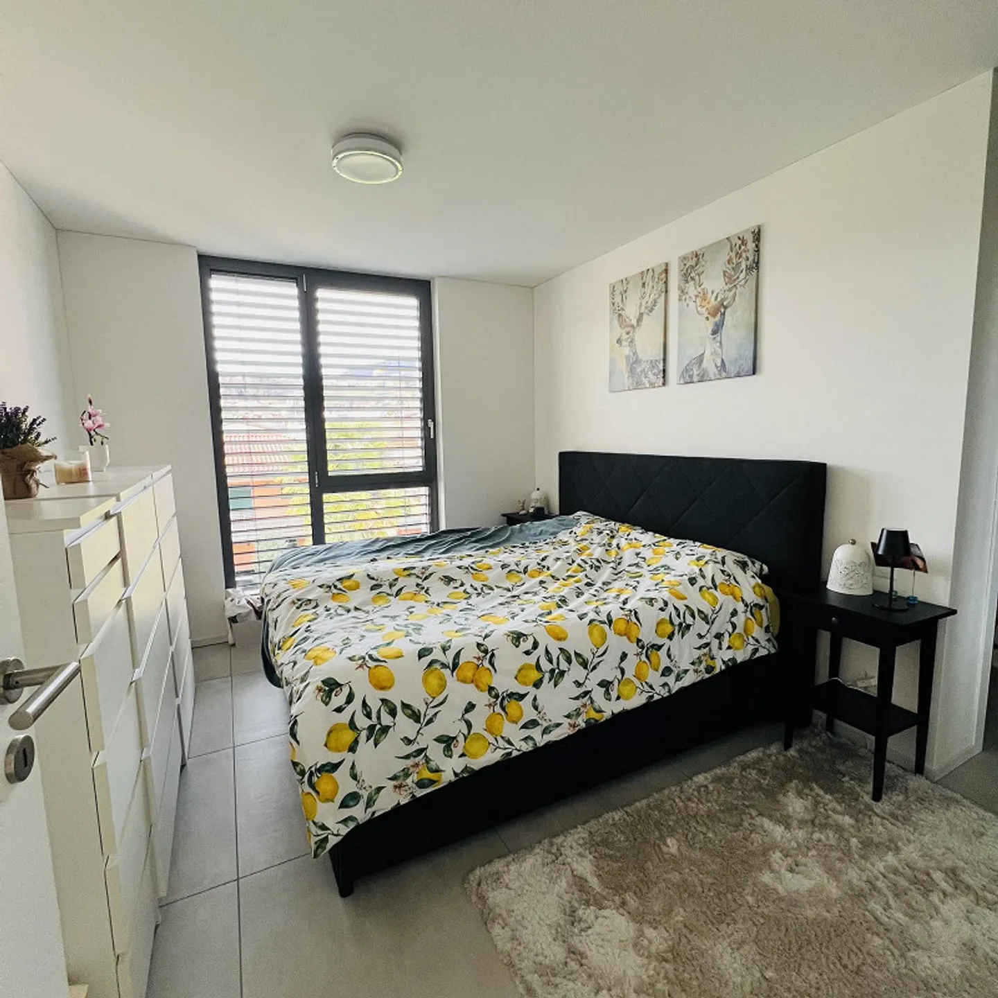 4.5-Zimmer-Untermieter in S. Pietro - Foto 4 von 7