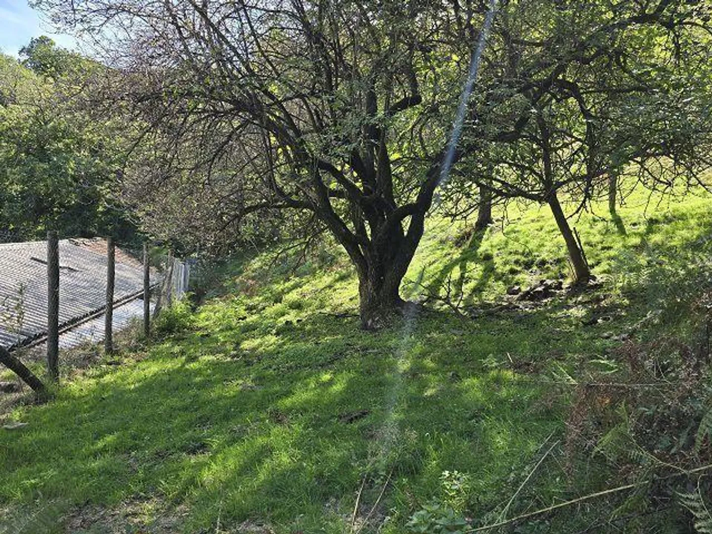 Cascina 3,5 loc. nella natura con grande terreno, molto soleggiato, con bella vista» - Foto 29 di 45