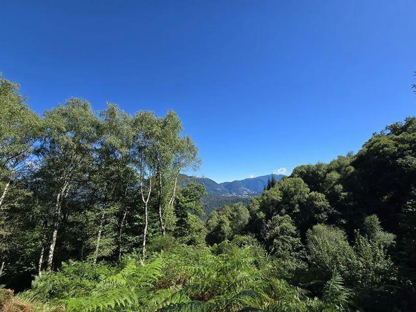 Cascina 3,5 loc. nella natura con grande terreno, molto soleggiato, con bella vista» - Foto 33 di 45