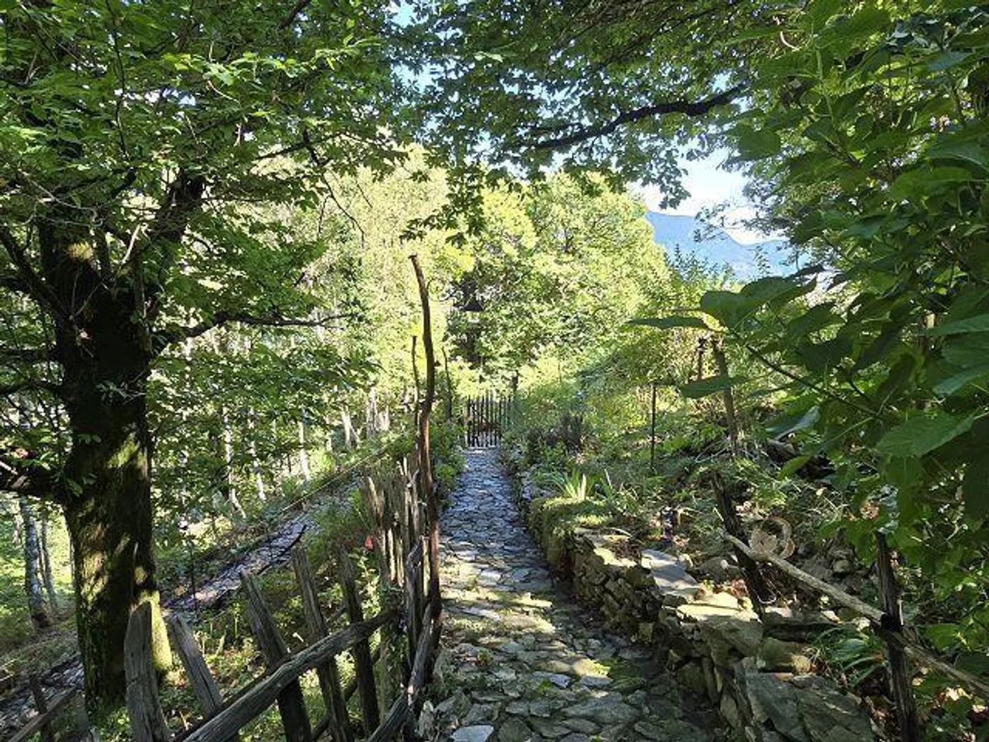 Cascina 3,5 loc. nella natura con grande terreno, molto soleggiato, con bella vista» - Foto 36 di 45