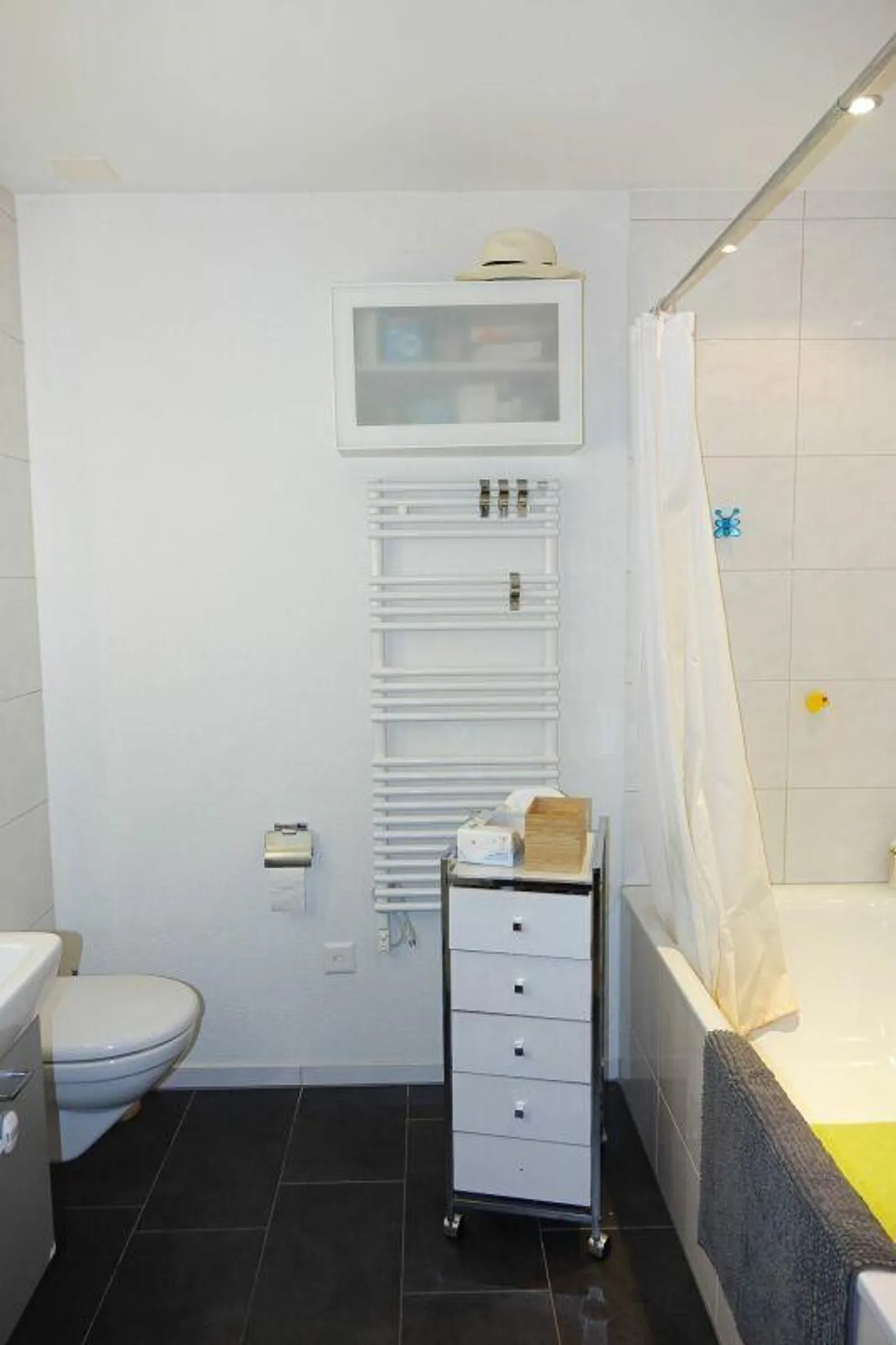 helle, sonnige Wohnung mit grosser Terrasse - Foto 5 di 7