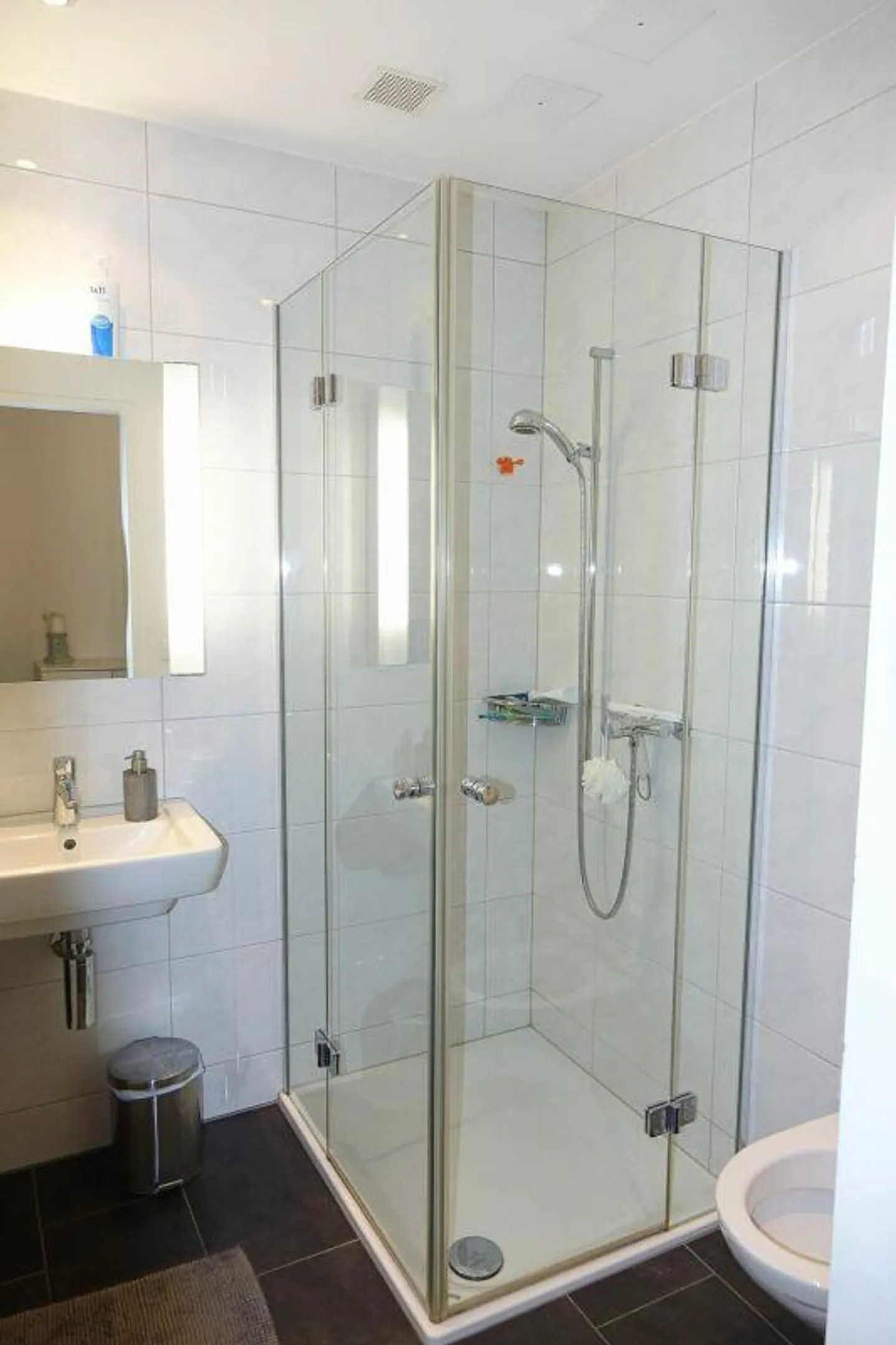 helle, sonnige Wohnung mit grosser Terrasse - Foto 6 di 7