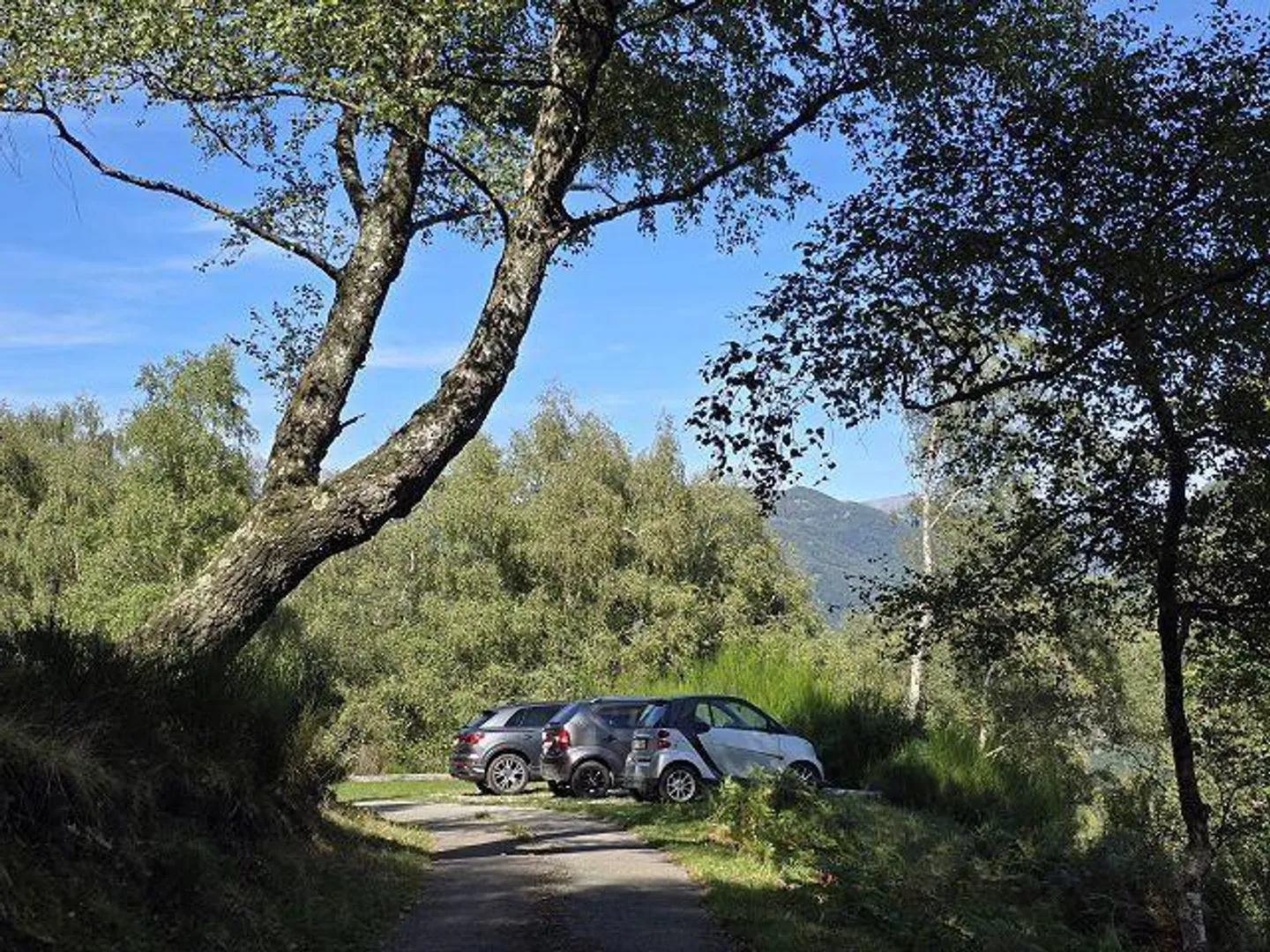 Cascina 3,5 loc. nella natura con grande terreno, molto soleggiato, con bella vista» - Foto 42 di 45