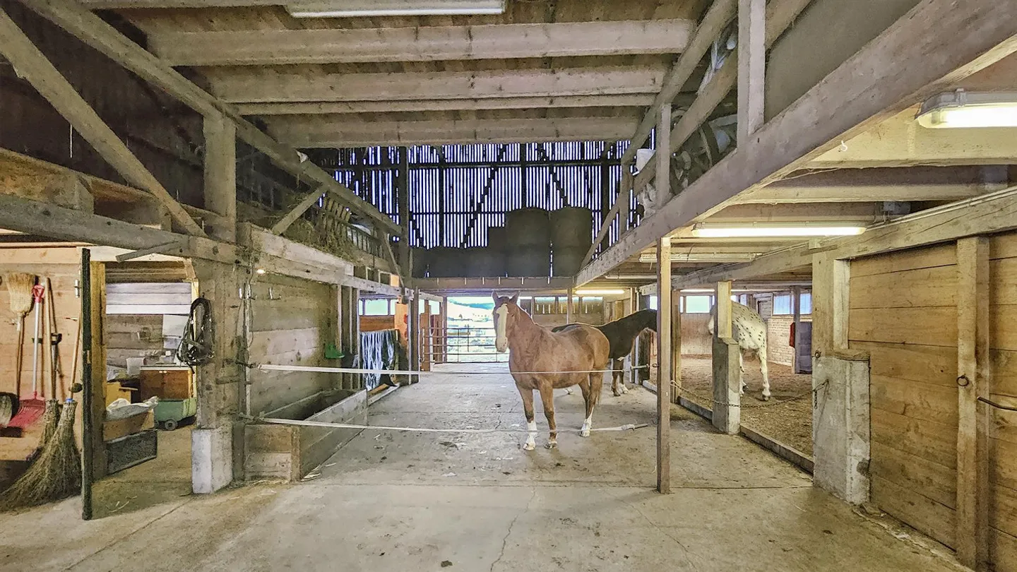 Charmante maison de ferme à deux familles avec écuries et terres de pâturage - Photo 5 sur 28