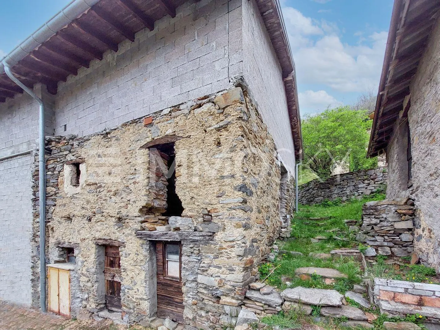 Verwandle mich, wie du willst - Foto 3 von 5