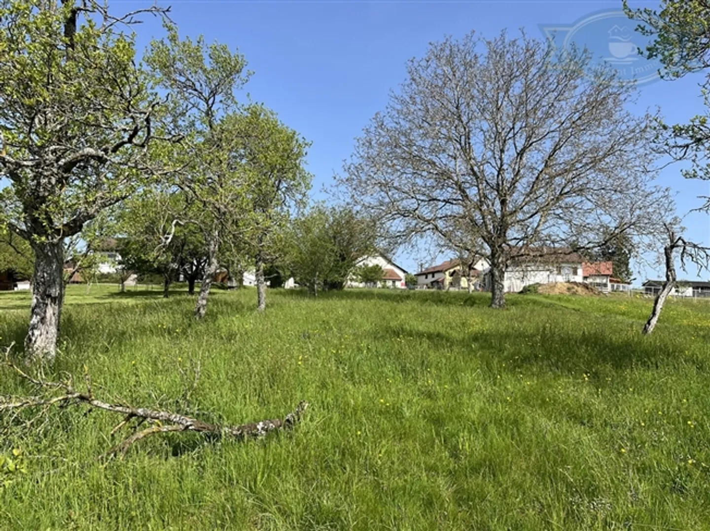 «Baugrundstück von mehr als 3000m2 mit Gebäude zum Abriss.» - Foto 2 von 5