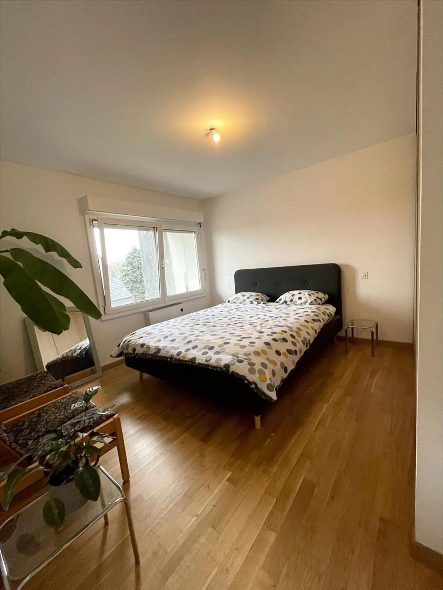 Wohnung mit Terrasse 2 Zimmer - Foto 7 von 10