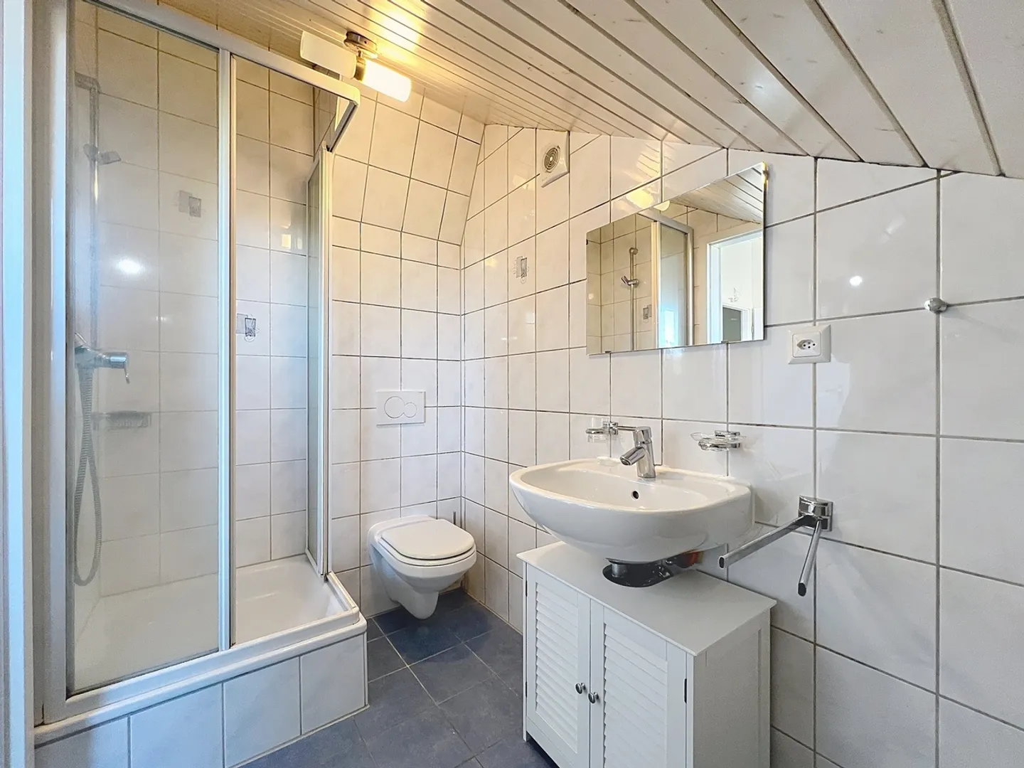 Charming Villa in Chambésy - Photo 10 of 14