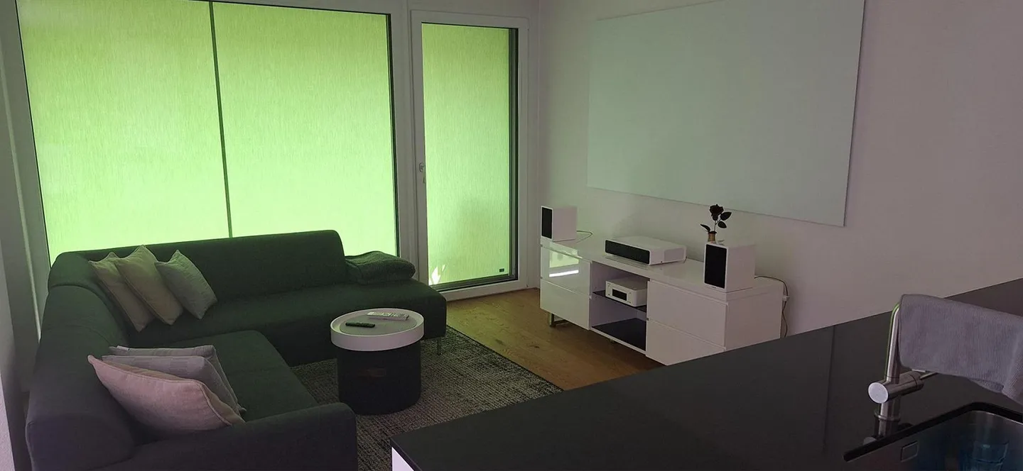 Bellissimo e moderno appartamento di 2,5 stanze in affitto in una posizione tranquilla - Foto 2 di 8
