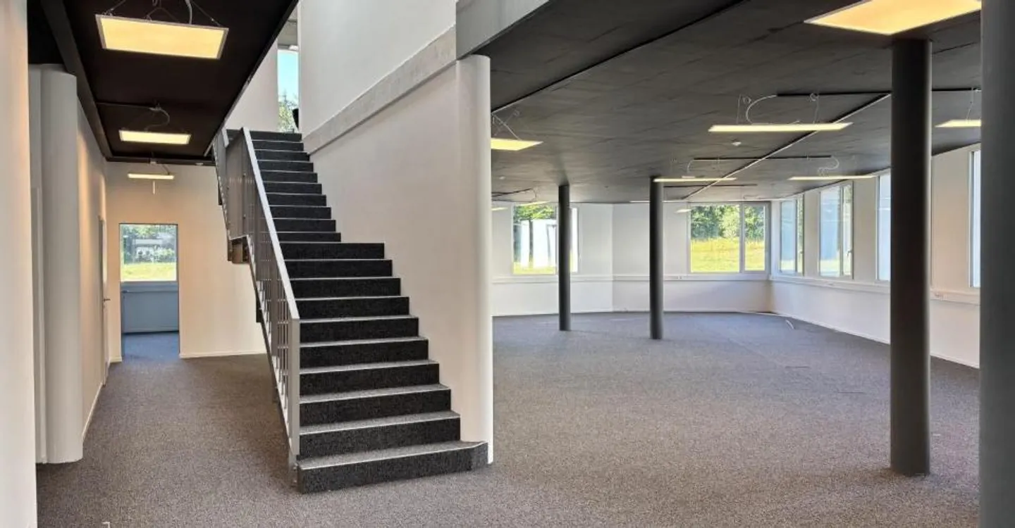 New surface in a quiet environment - Photo 5 of 7