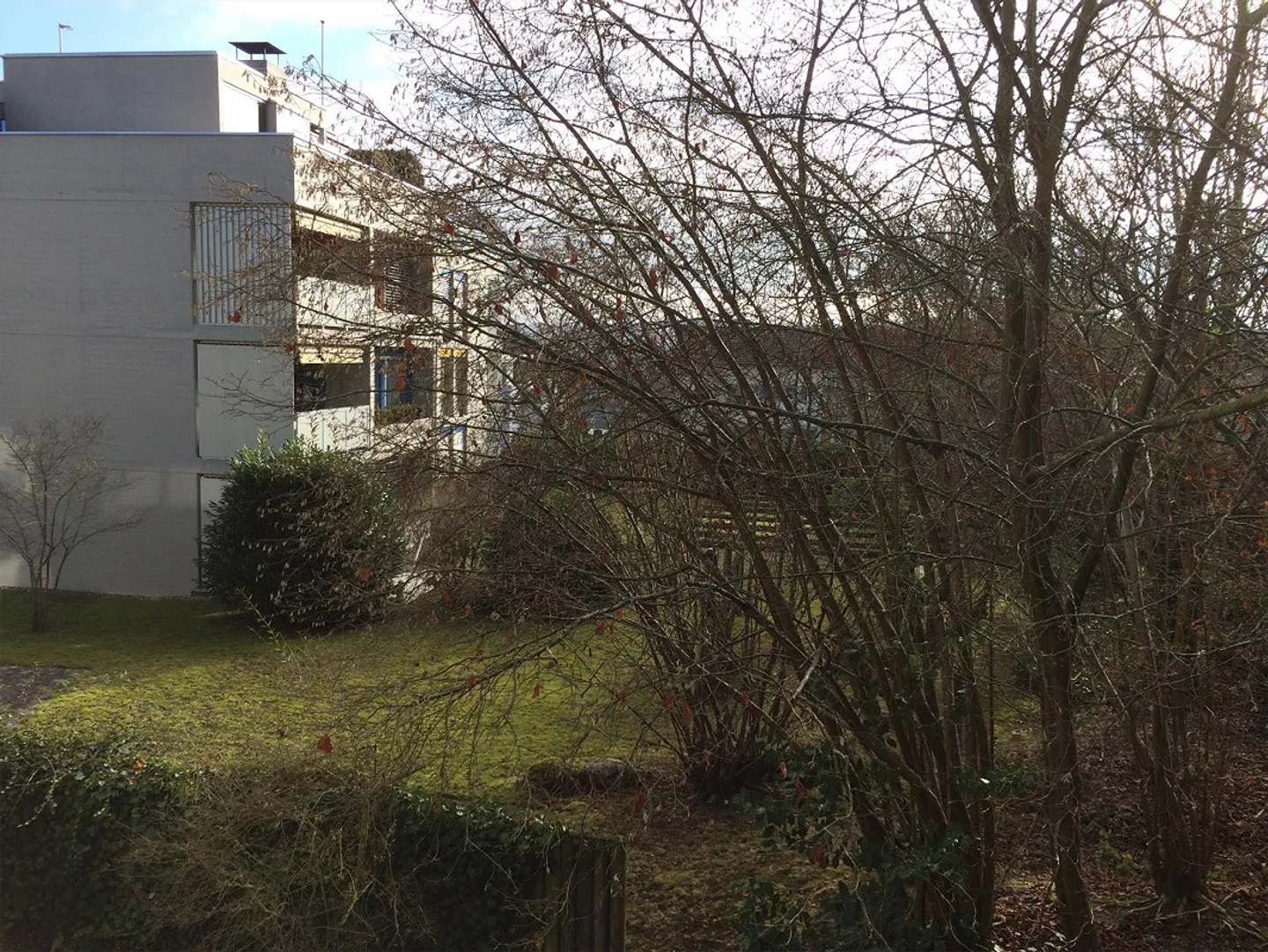 Bright large quiet apartment in the beautiful Breite district - Photo 16 of 26
