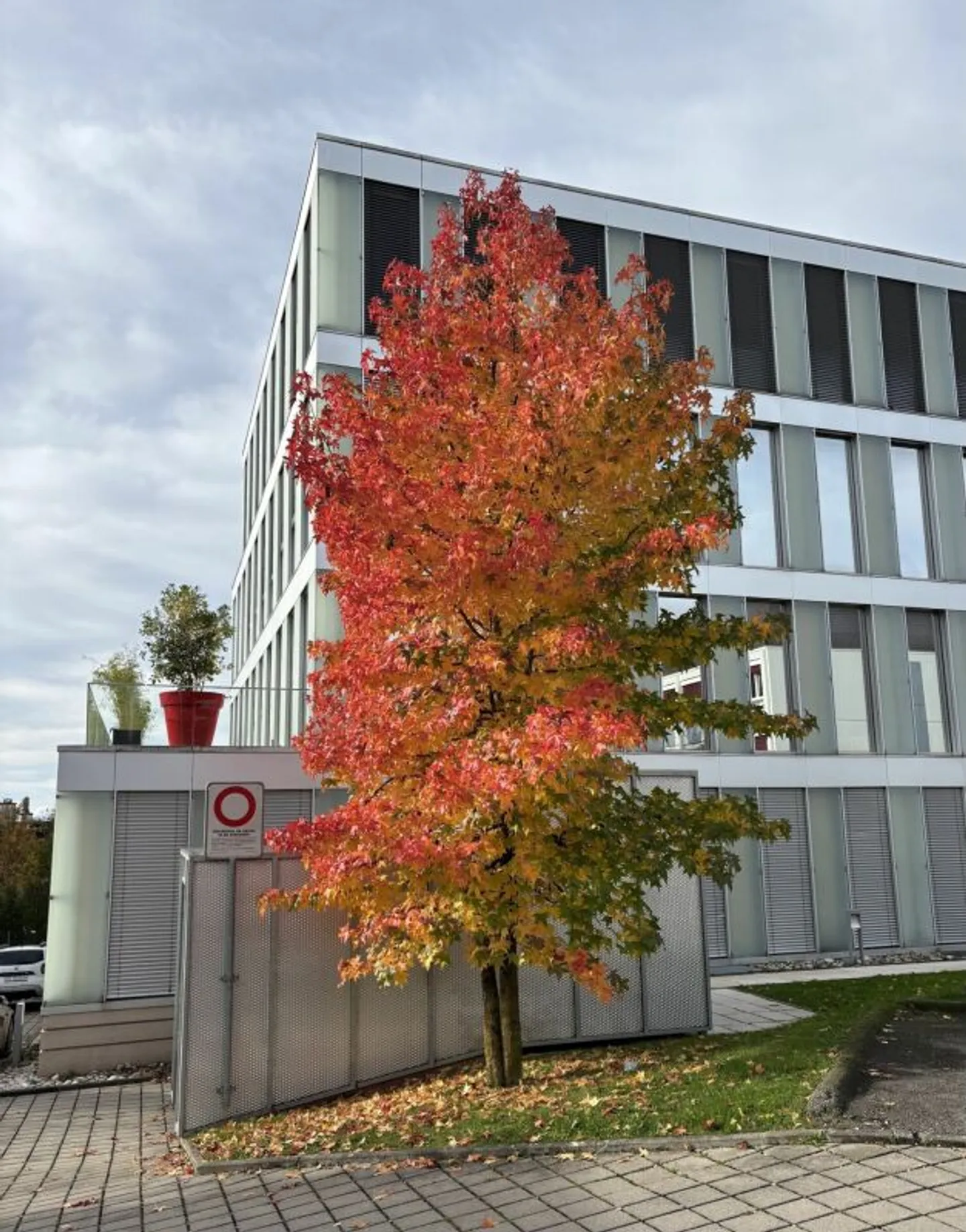 Modern Office Space in Lausanne - Photo 8 of 10