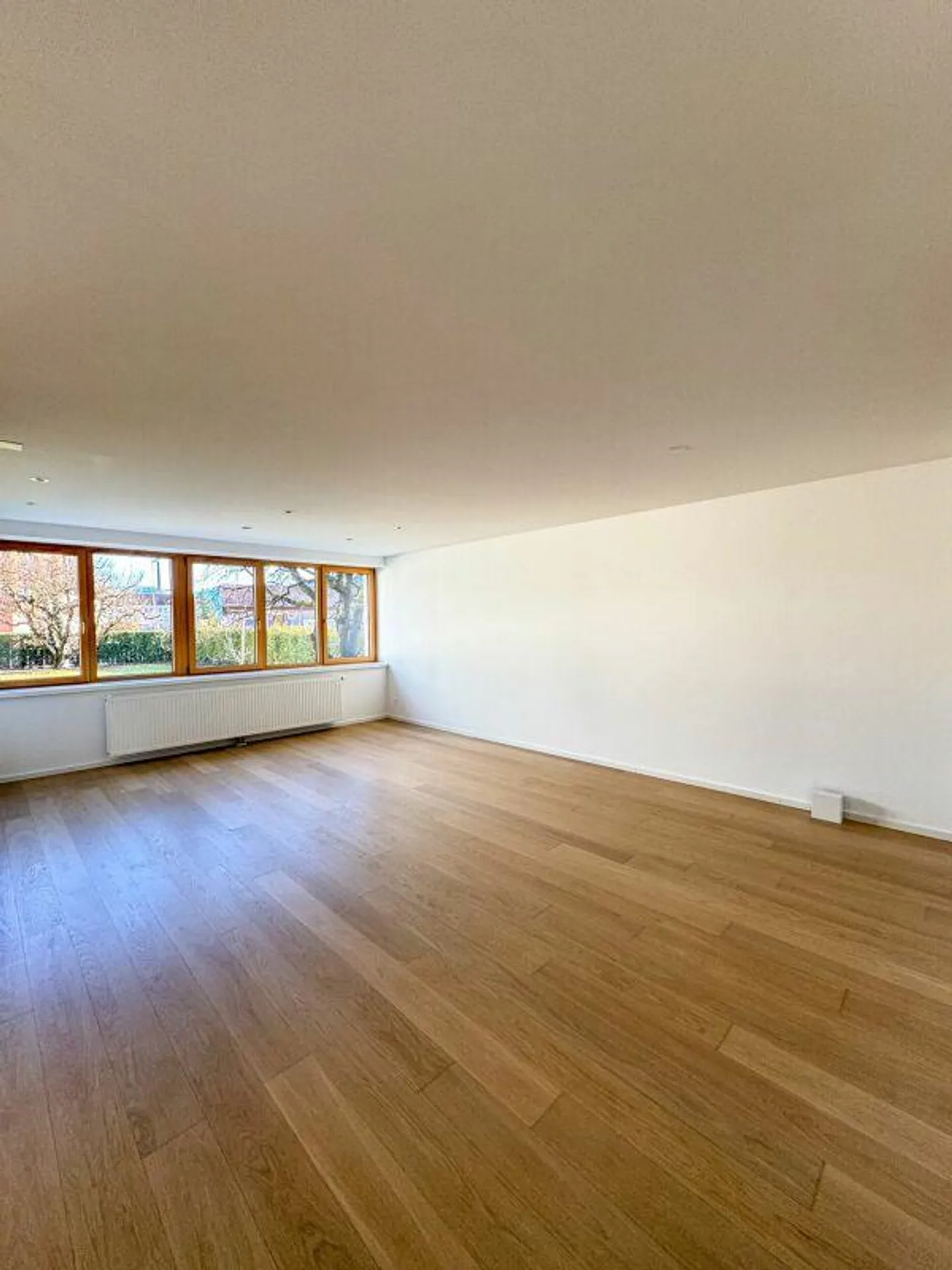 Appartamento esclusivo di 3,5 locali con grande terrazza in una posizione tranquilla e privilegiata a Sargans - Foto 3 di 11