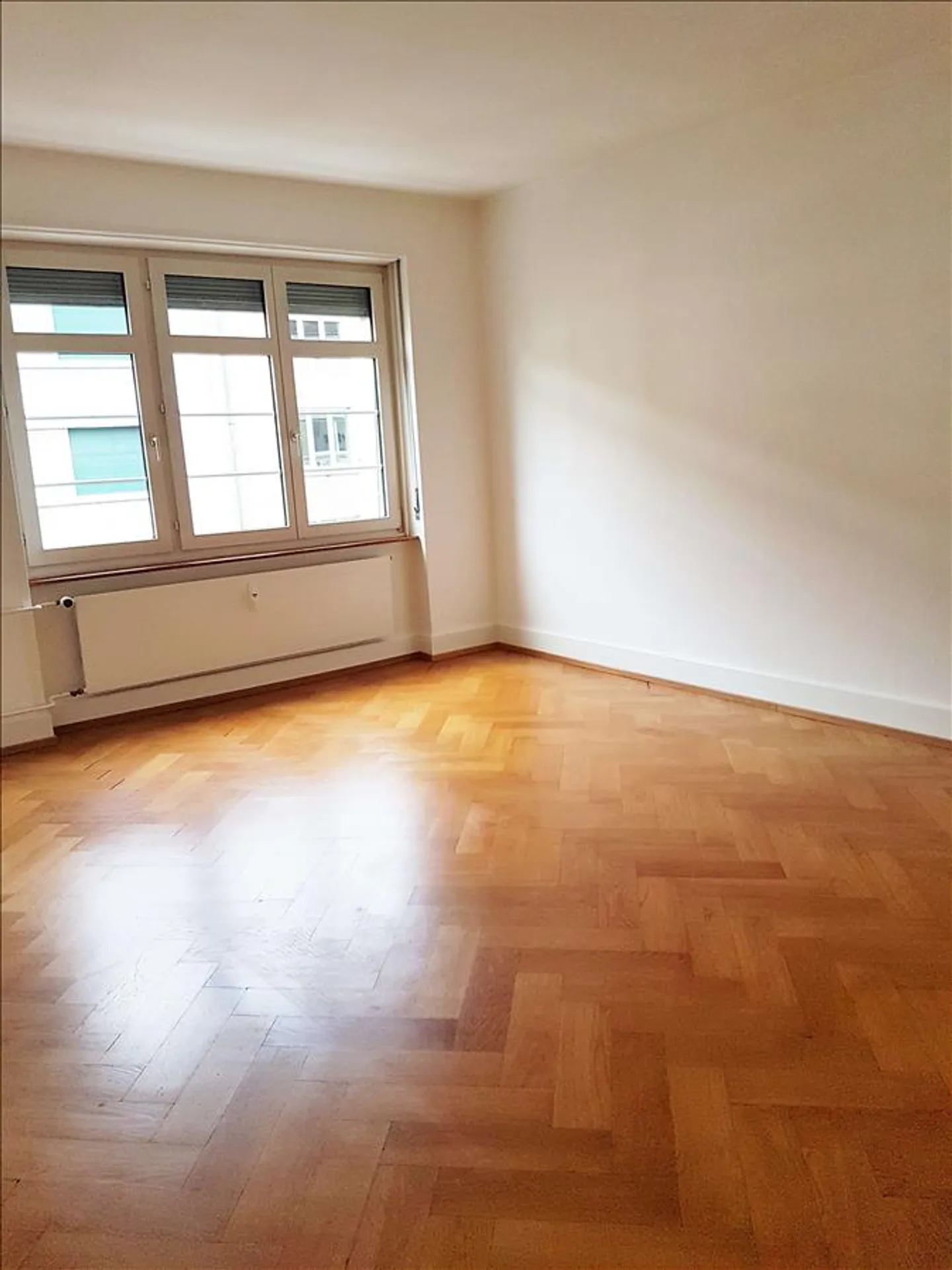 RENT WITHOUT DEPOSIT - Large apartment near fair and train station - Photo 10 of 12