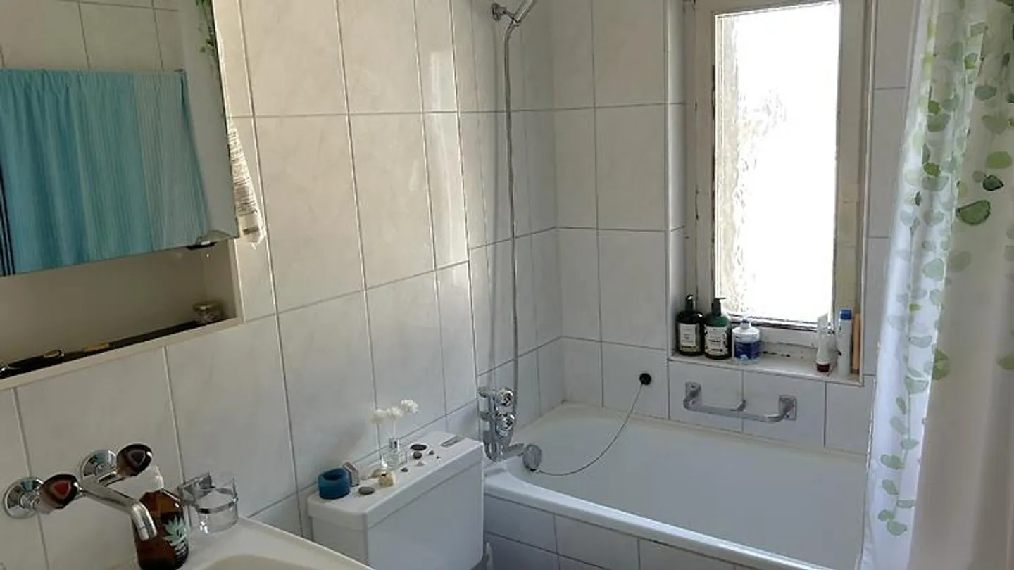 3 ROOM APARTMENT IN ZURICH - DISTRICT 4 AUSSERSIHL, FURNISHED, TEMPORARY - Photo 5 of 6