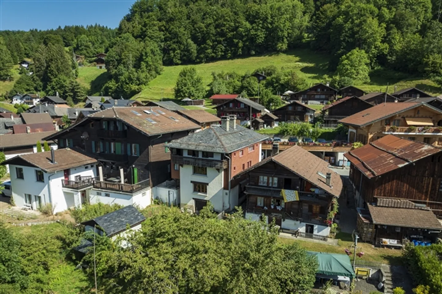 Village house with 2 apartments on a dominant plot in Les Posses-sur-Bex - Photo 2 of 7