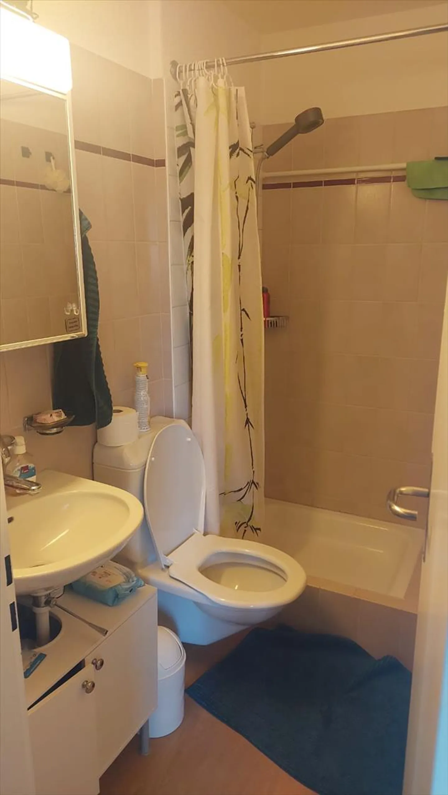 3.5 Zimmerwohnung direkt am Bahnhof Brugg - Foto 3 von 5