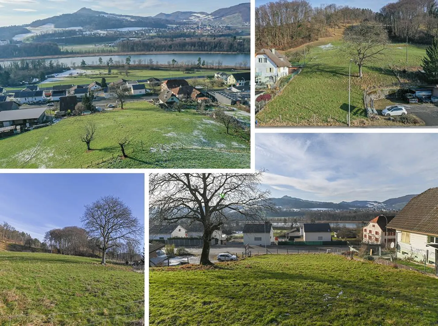 Terreno non edificato senza obblighi - Foto 1 di 5